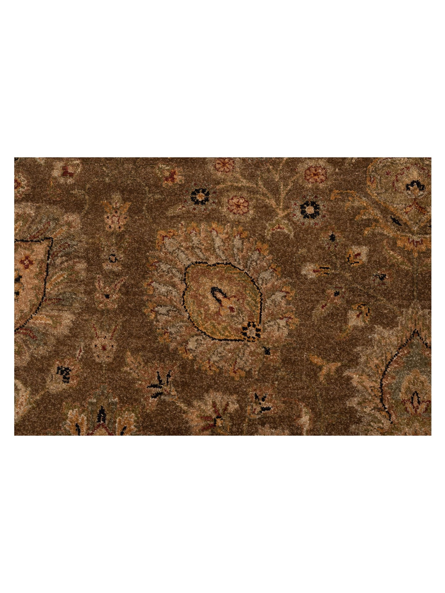 Jallira Brown Ivory 8.3x10.6 Hand Knotted Rug