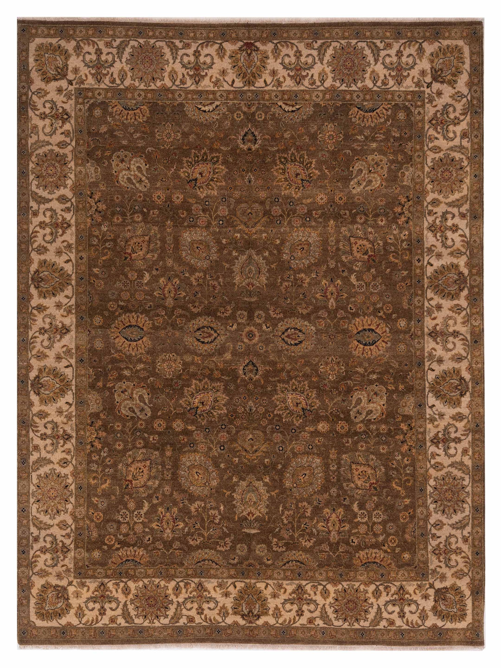 Rajpur Haji Jalili  Brown Ivory Transitional