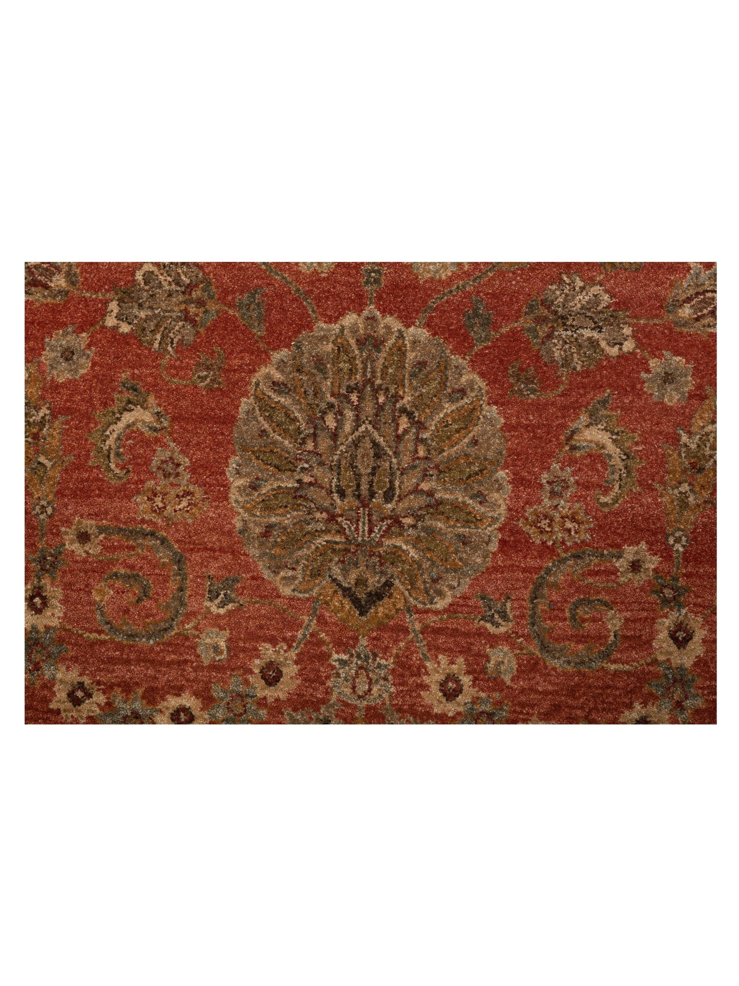 Jallira Rust Ivory 8x11.2 Hand Knotted Rug