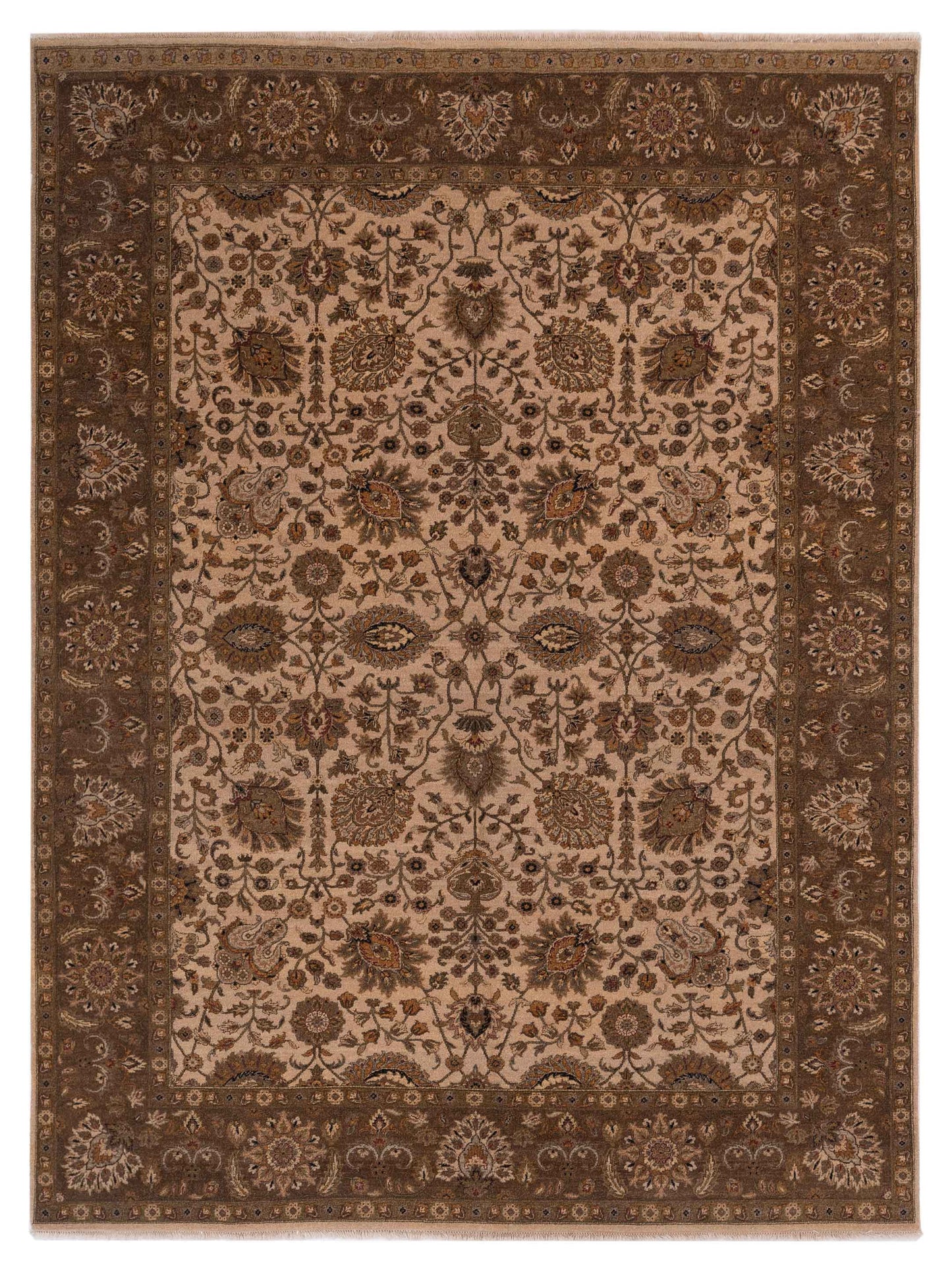 Rajpur Haji Jalili  Ivory Tobacco Transitional