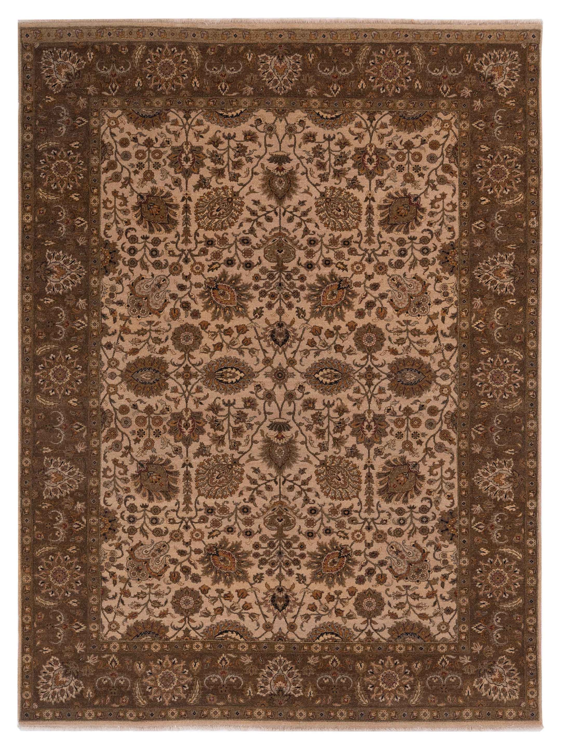 Rajpur Haji Jalili  Ivory Tobacco Transitional