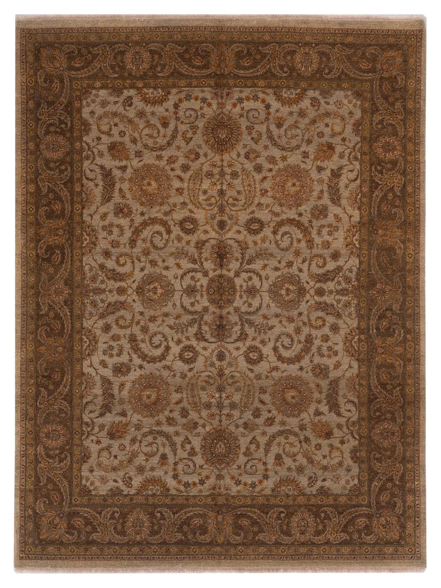 Rajpur Haji Jalili  Silver Brown Transitional