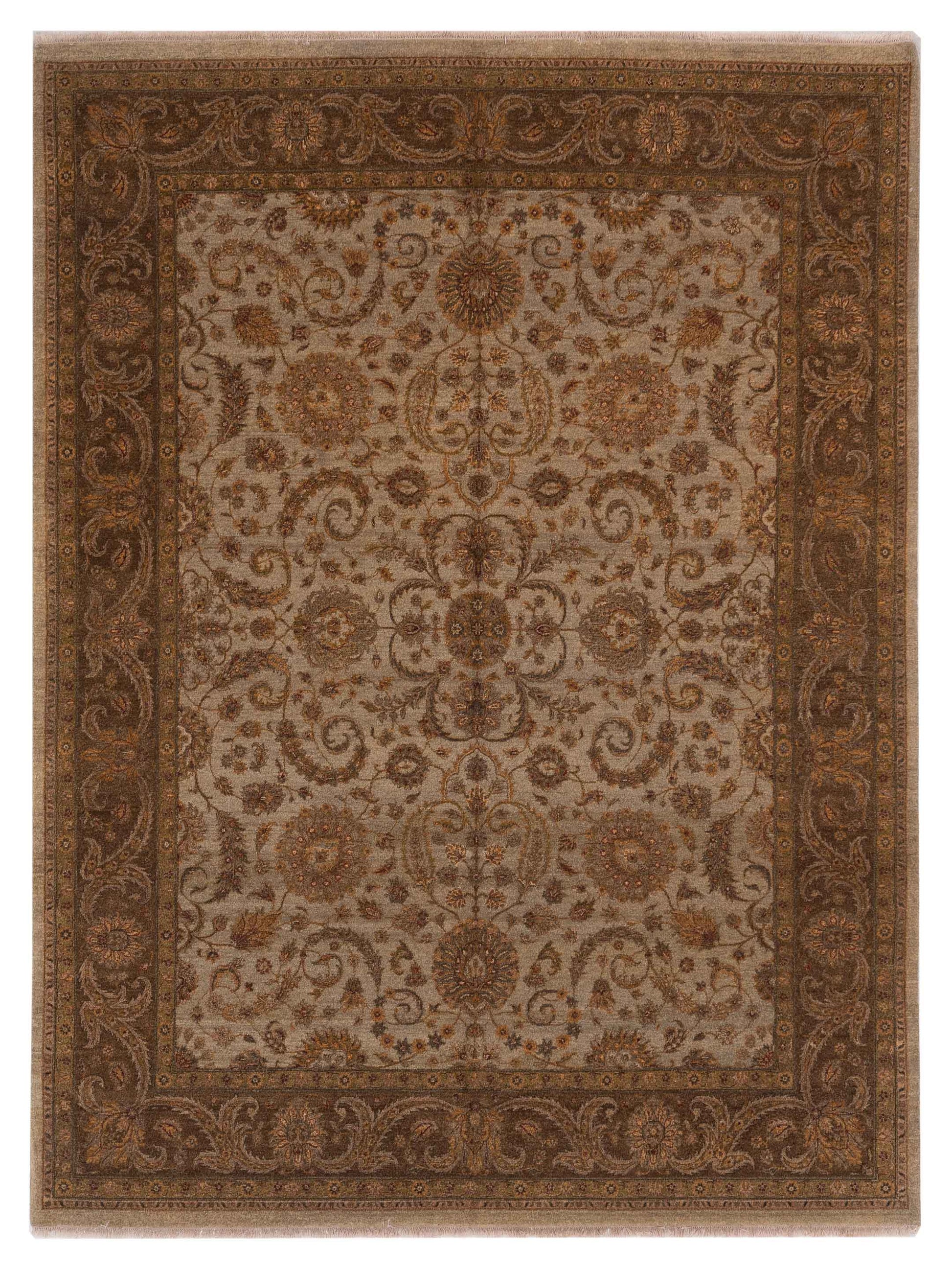 Rajpur Haji Jalili  Silver Brown Transitional