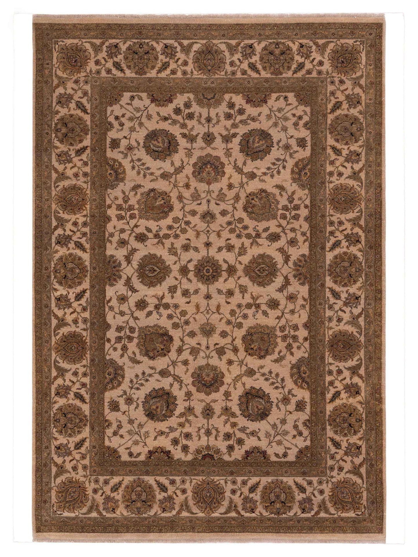 Rajpur Haji Jalili  Beige Beige Transitional
