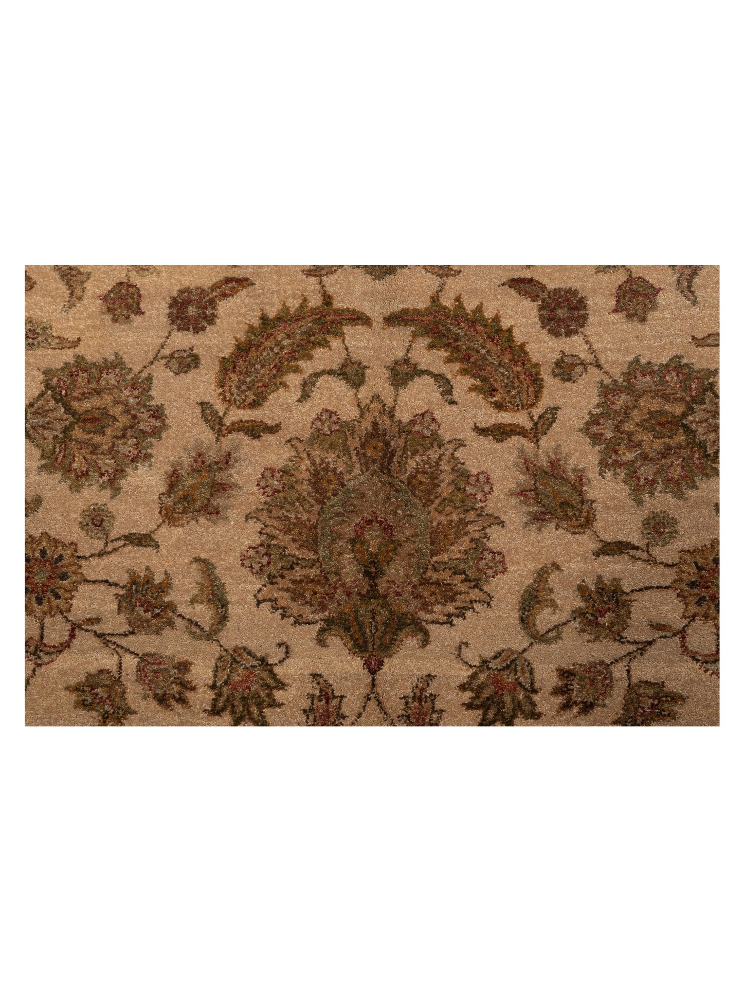 Jallira Ivory Brown 6.7x9.11 Hand Knotted Rug
