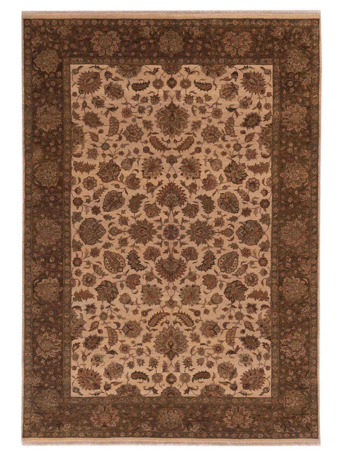 Rajpur Haji Jalili  Ivory Brown Transitional