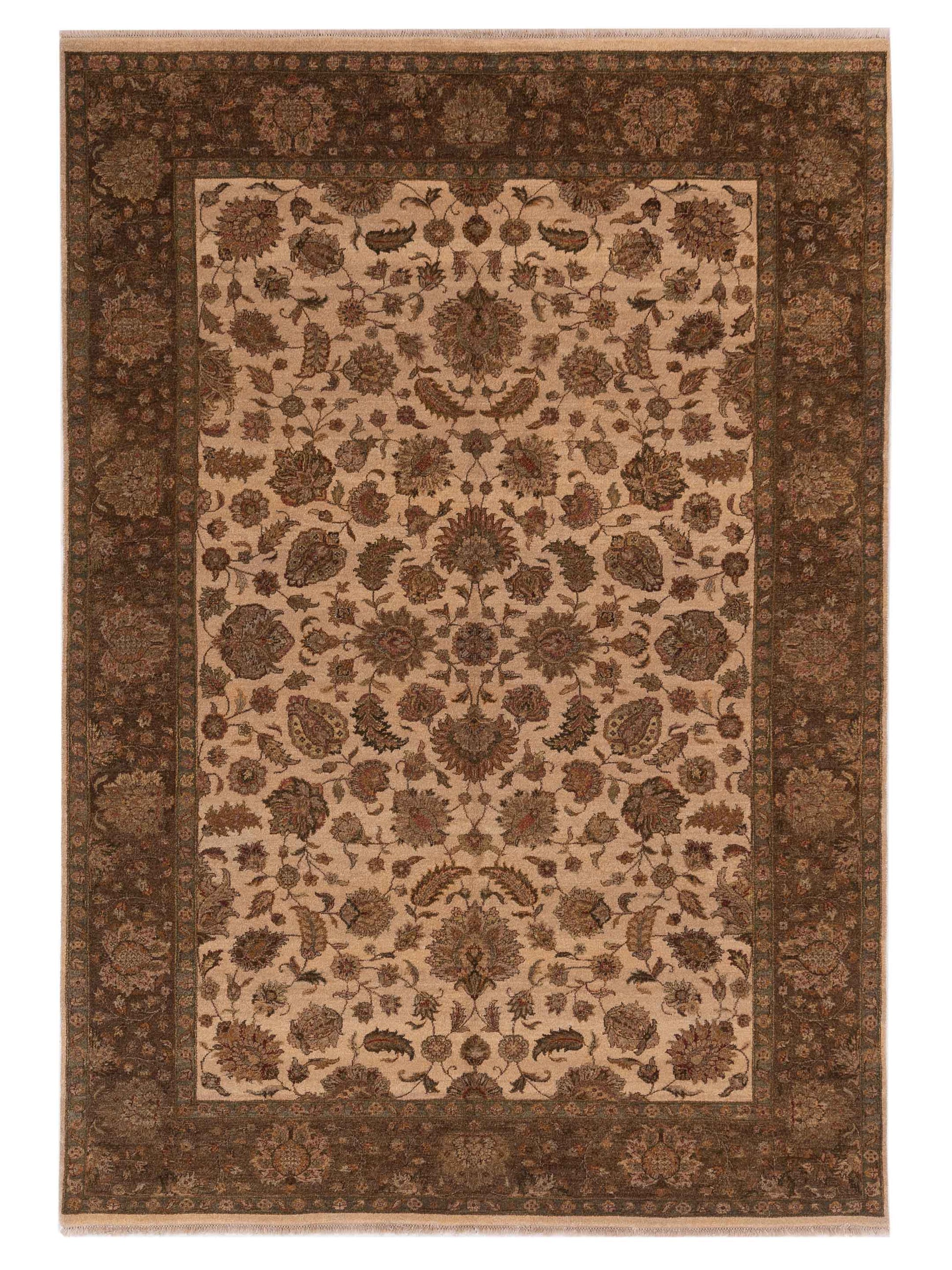 Rajpur Haji Jalili  Ivory Brown Transitional