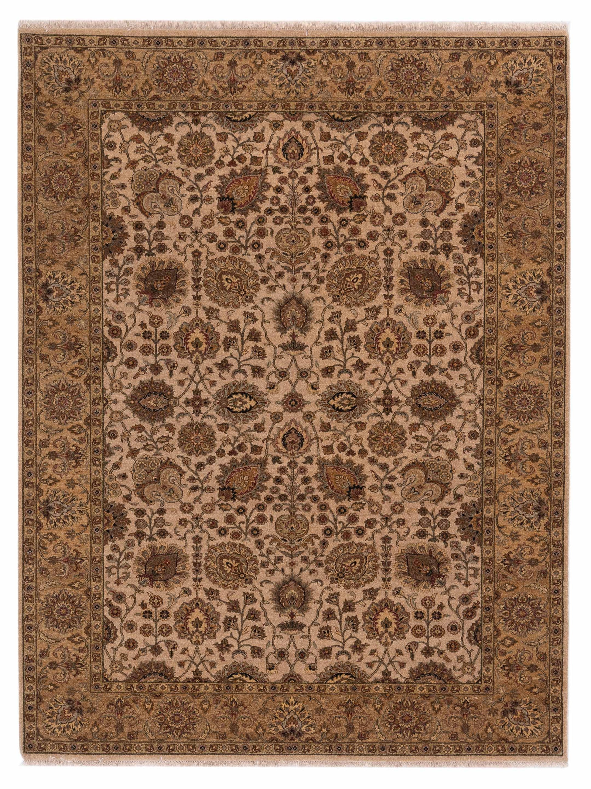 Rajpur Haji Jalili  Beige Gold Transitional