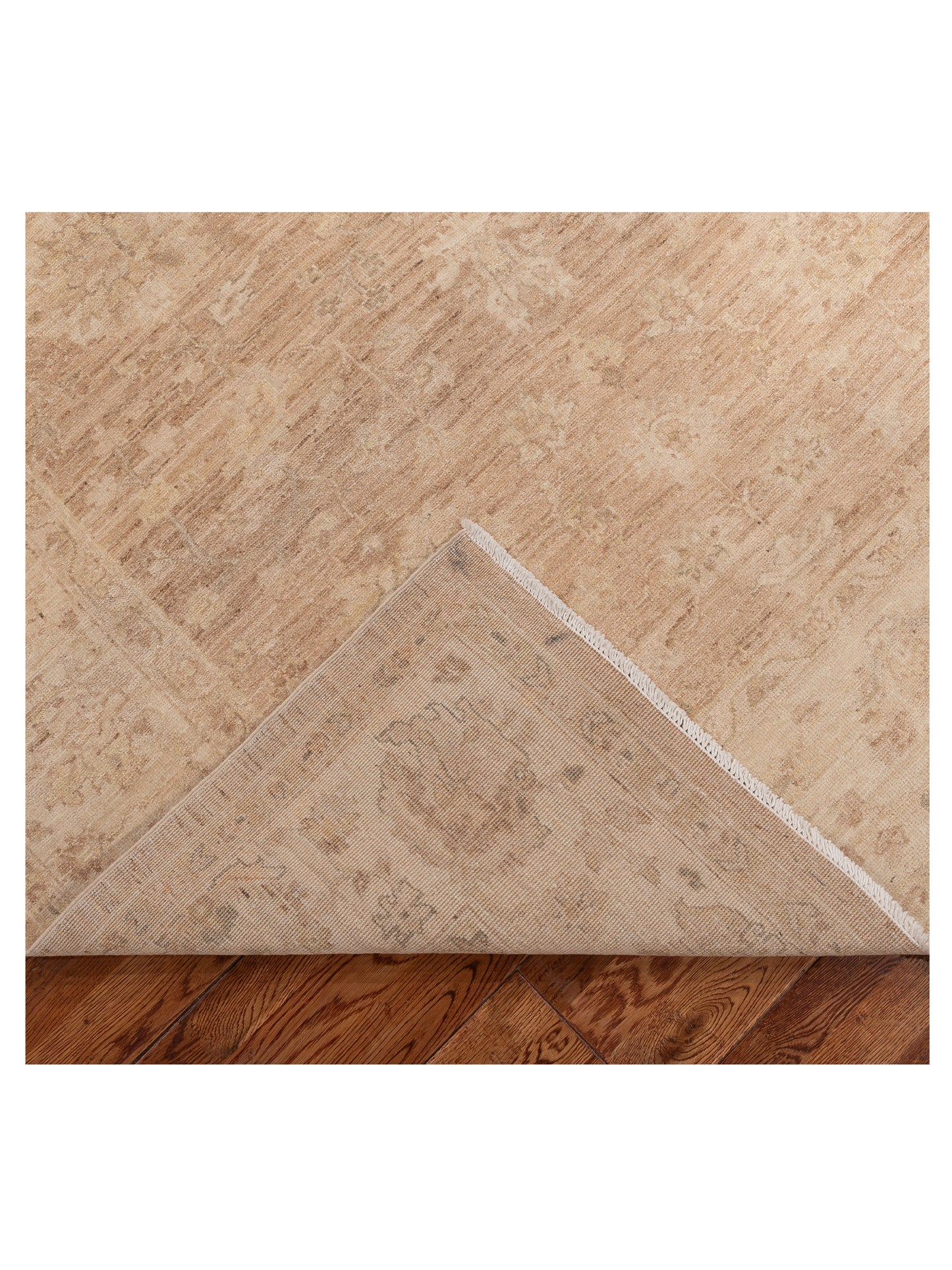 Jallira Beige Cream 6.2x9.6 Hand Knotted Rug