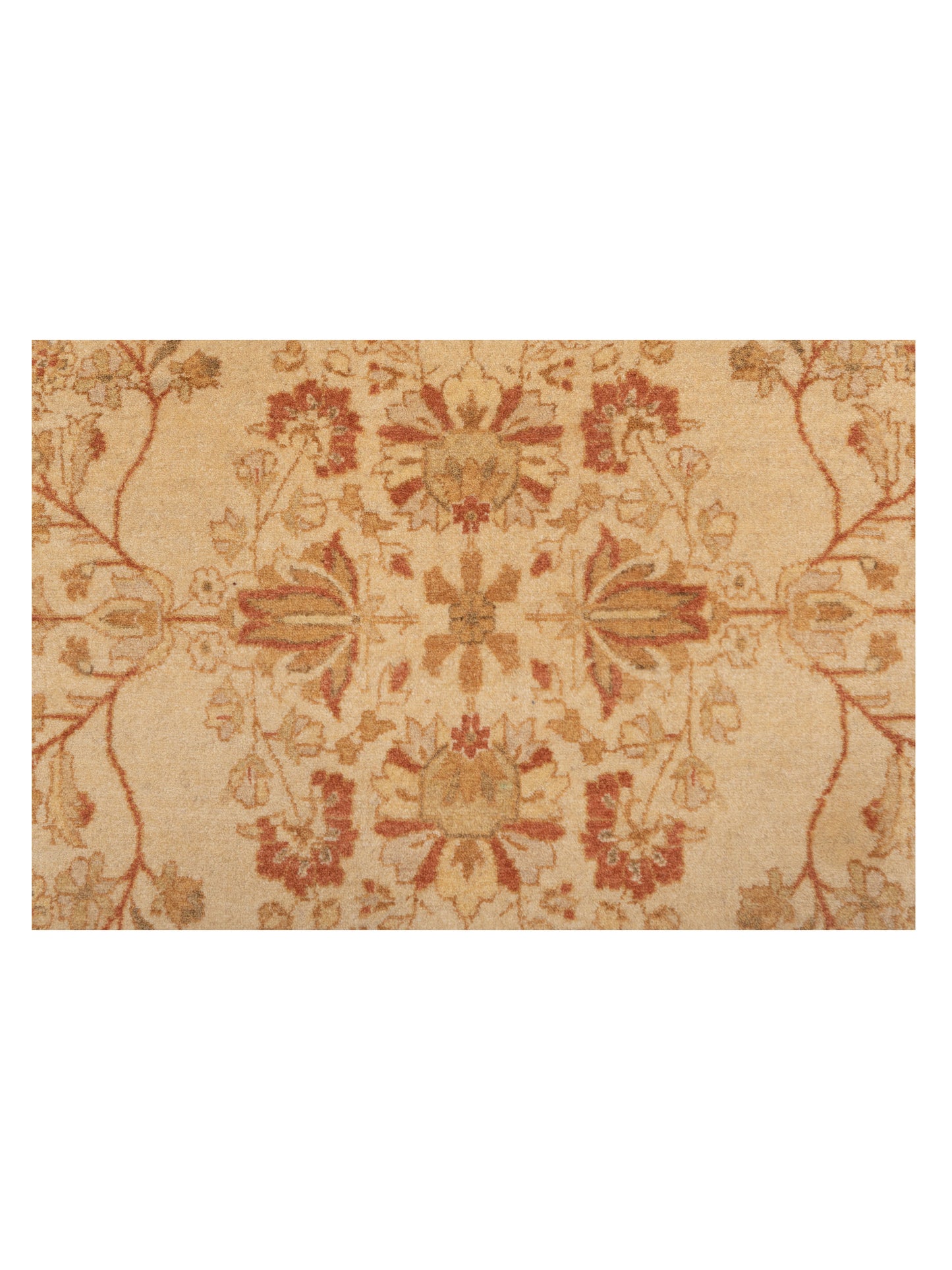 Jallira Beige Beige 6.1x8.7 Hand Knotted Rug