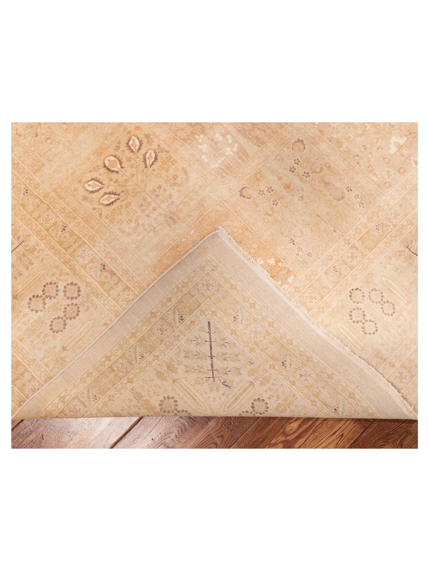 Jallira Multi Multi 9.3x12.3 Hand Knotted Rug