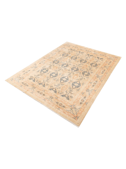 Jallira Ivory Ivory 9.1x12.1 Hand Knotted Rug