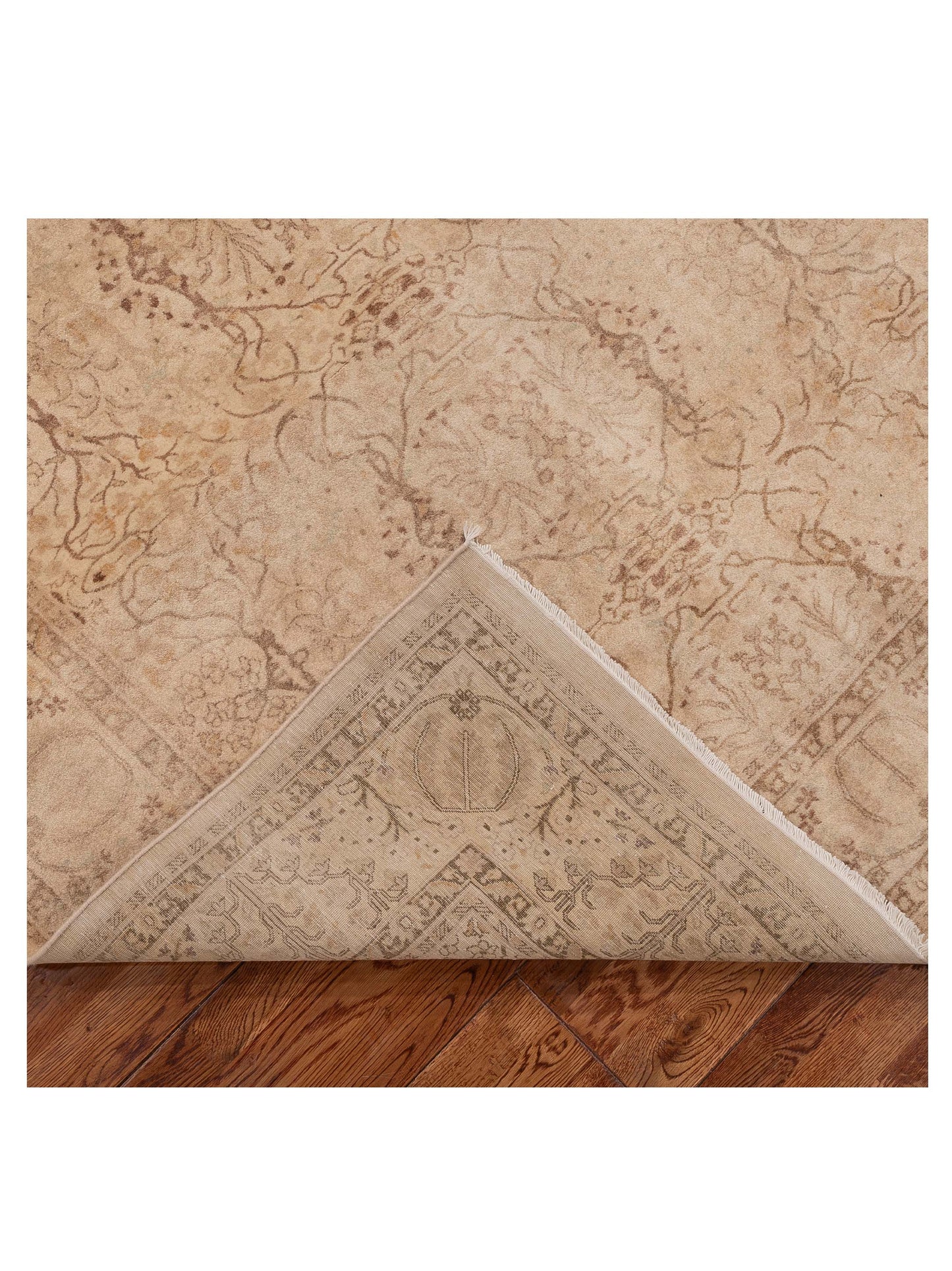 Jallira Beige 5.1x7.9 Hand Knotted Rug