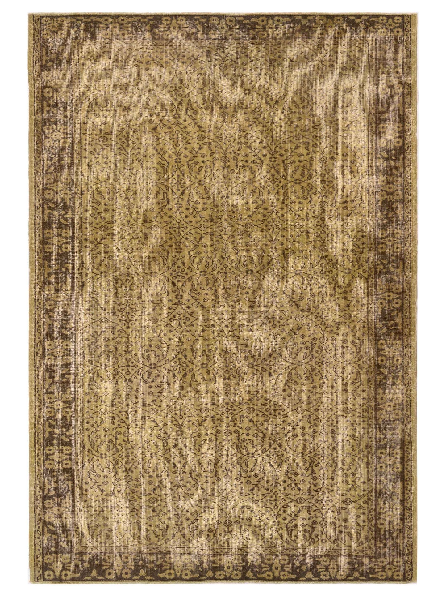 Pasha Vintage  Green  Transitional