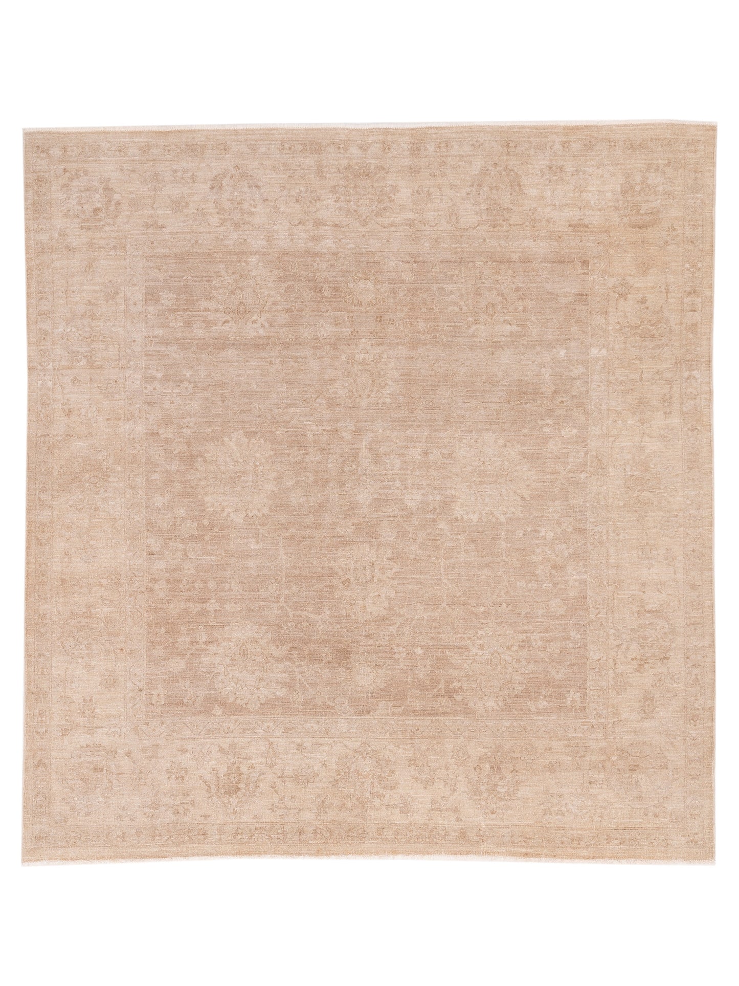 Nomad Laila  Brown Ivory Transitional