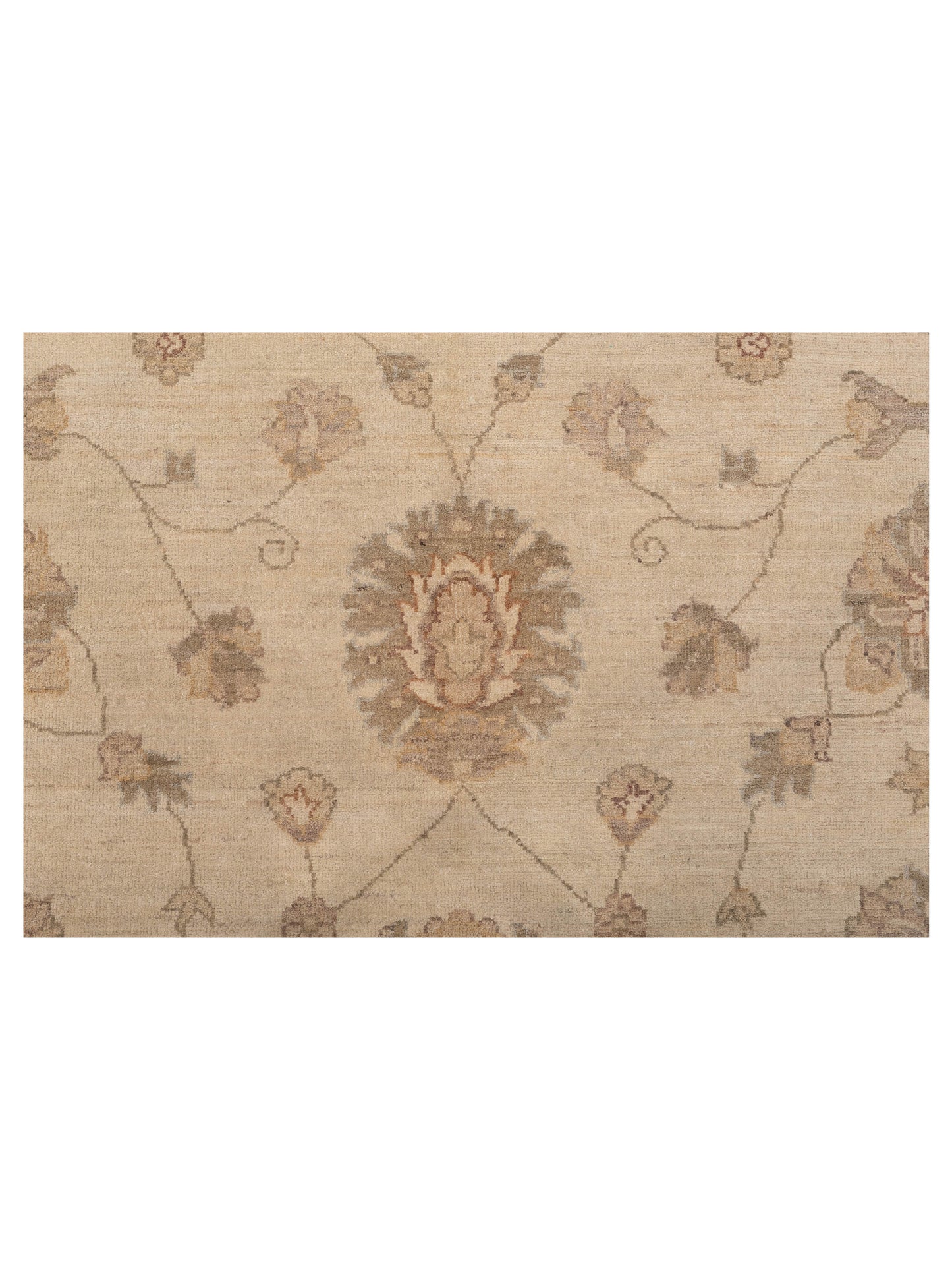 Lailora Ivory Ivory 9x11.10 Hand Knotted Rug