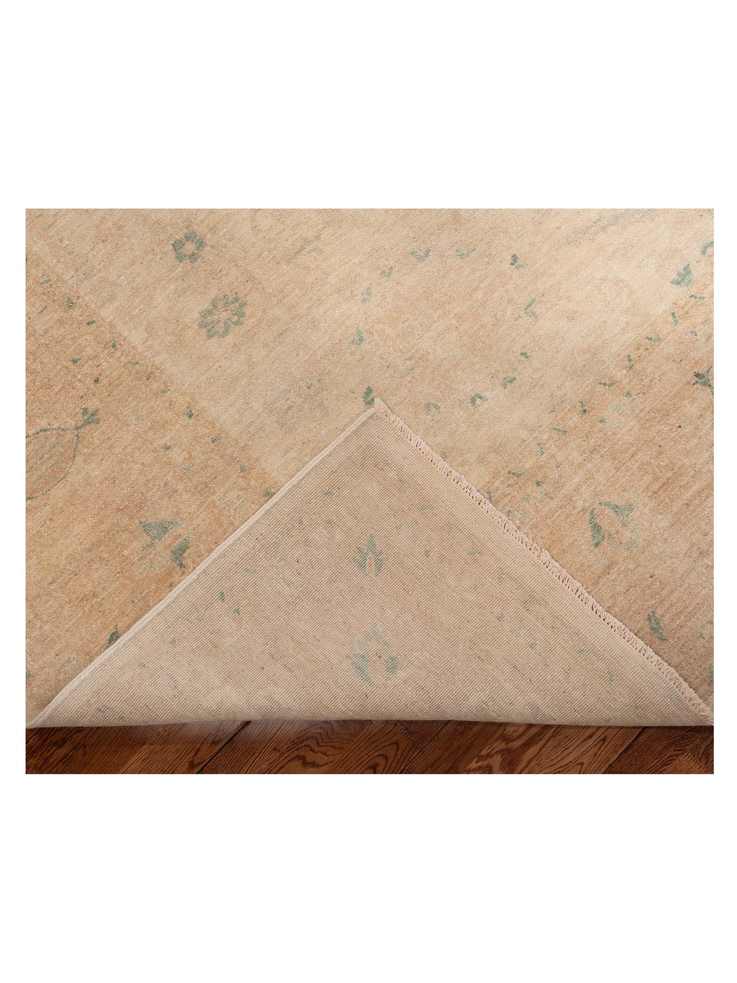 Lailora Ivory Light Brown 9x11.4 Hand Knotted Rug