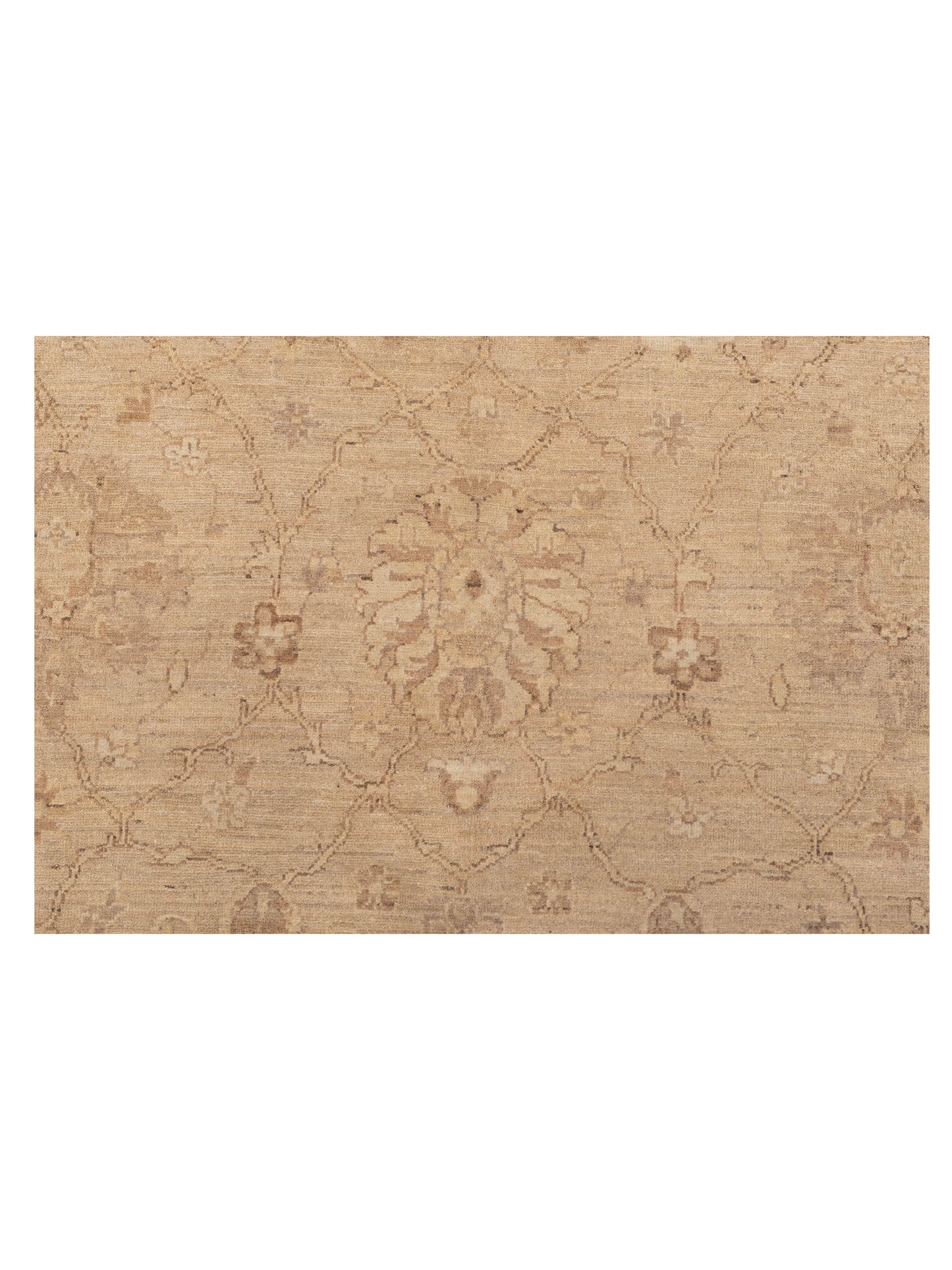 Lailora Camel Ivory 8.8x11.9 Hand Knotted Rug