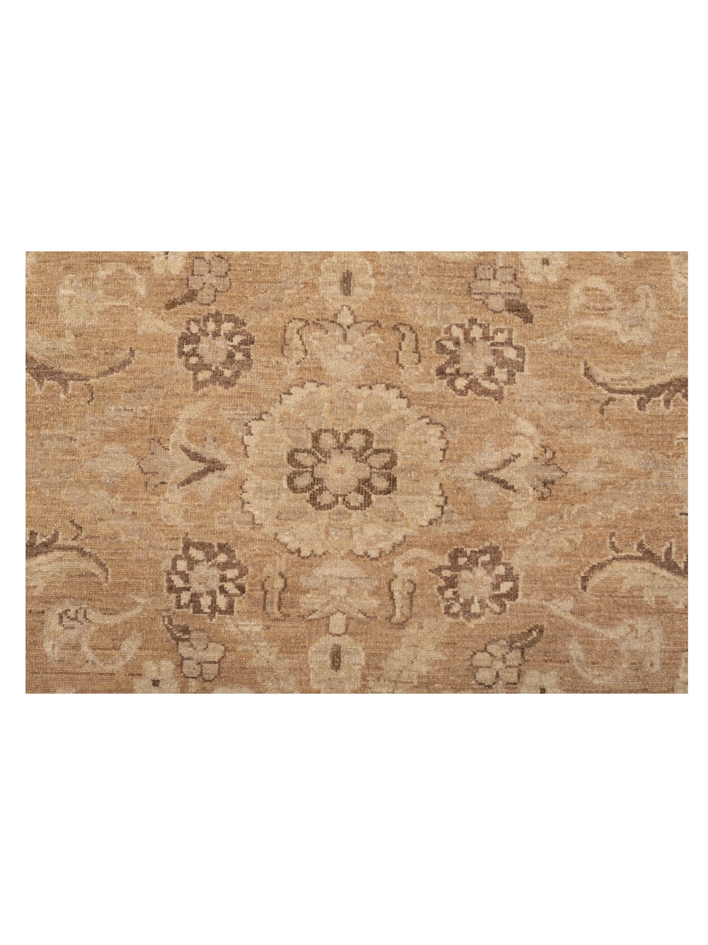 Lailora Brown Beige 8.8x11.10 Hand Knotted Rug