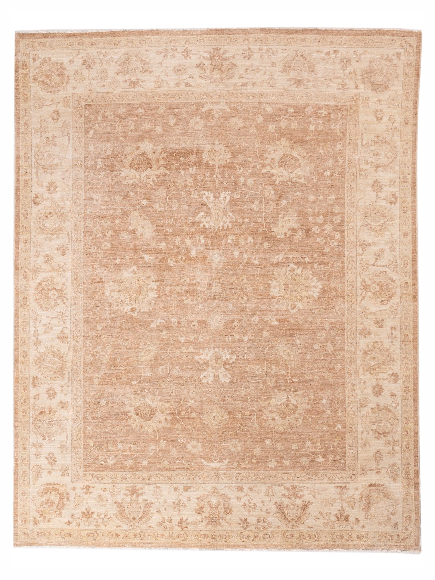 Nomad Laila  Brown Ivory Transitional