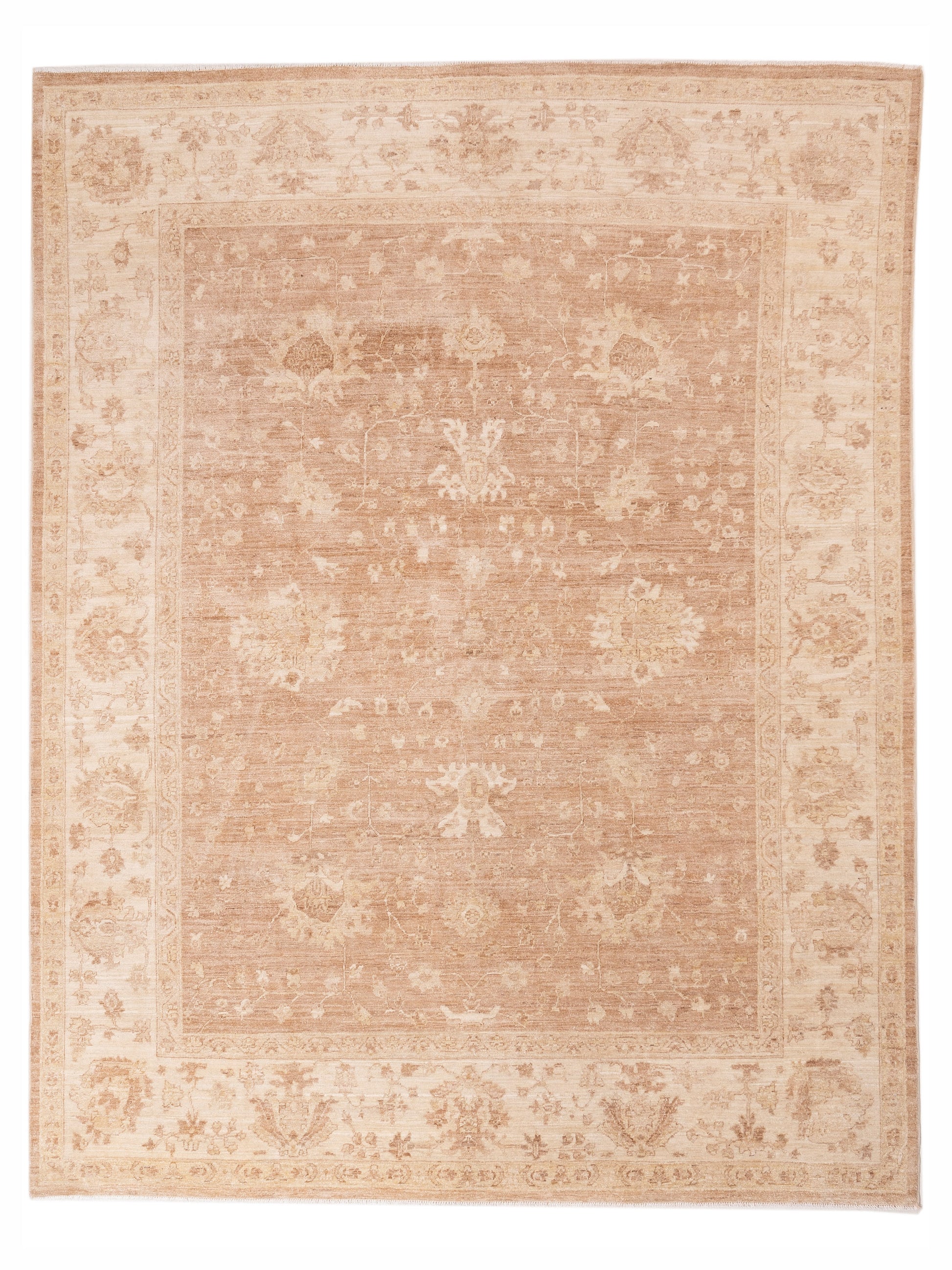 Nomad Laila  Brown Ivory Transitional