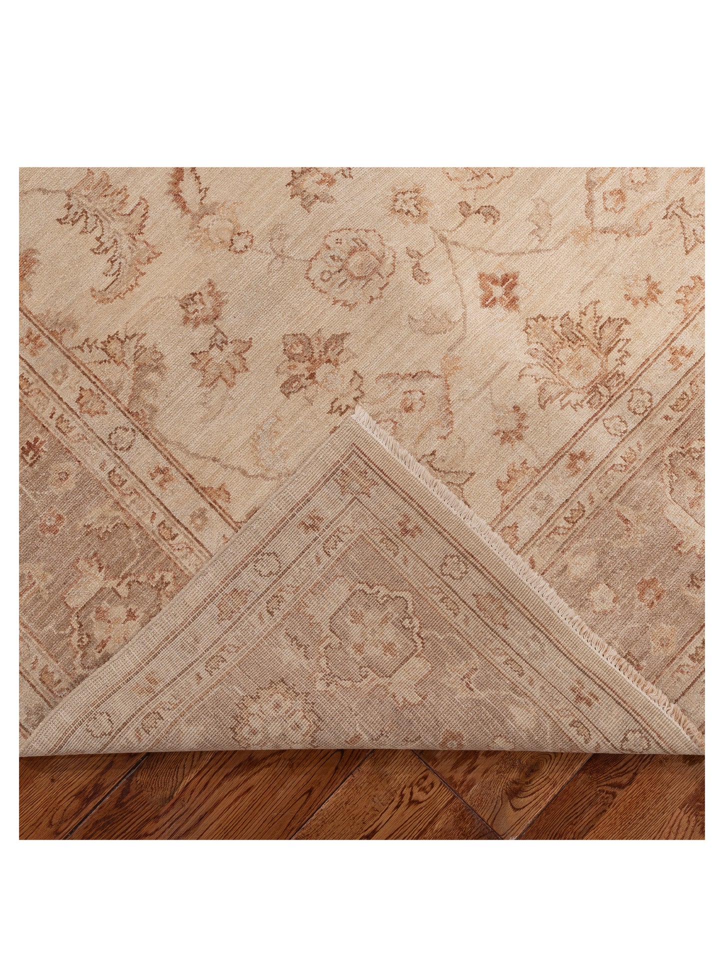 Lailora Ivory Brown 5.10x8.8 Hand Knotted Rug