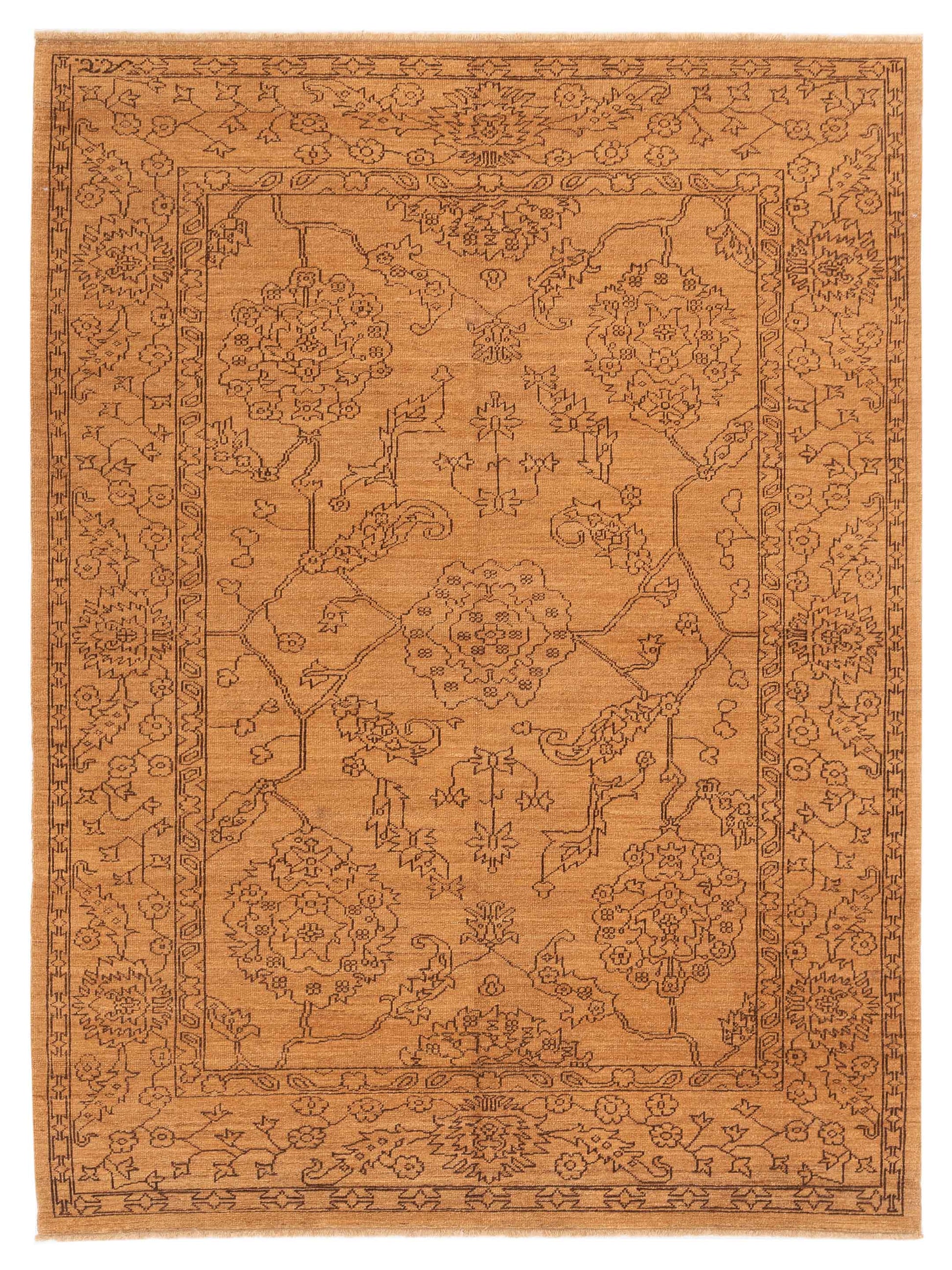 Pasha Ceyhan  Camel Brown Transitional