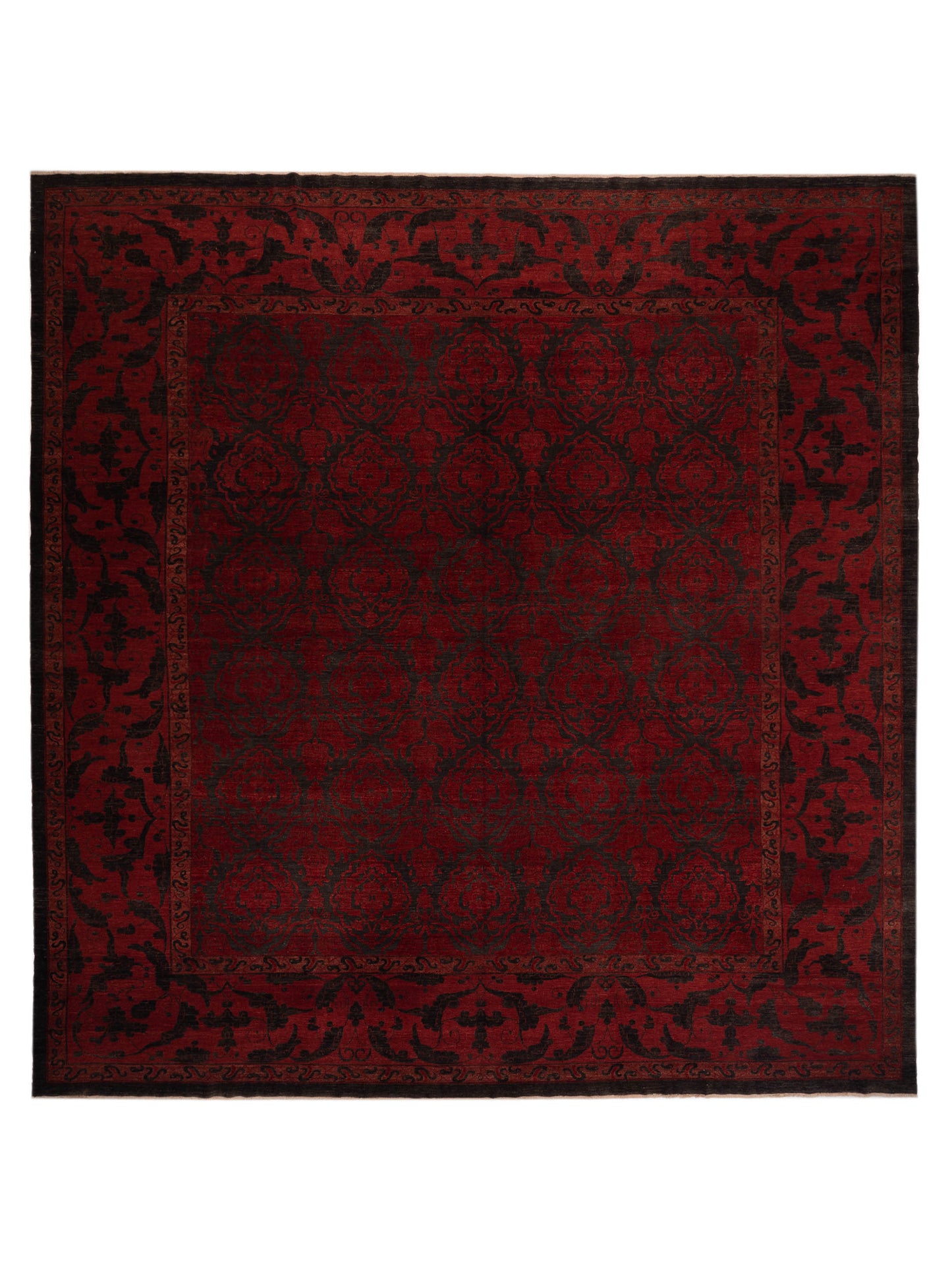 Pasha Defne  Charcoal Red Transitional