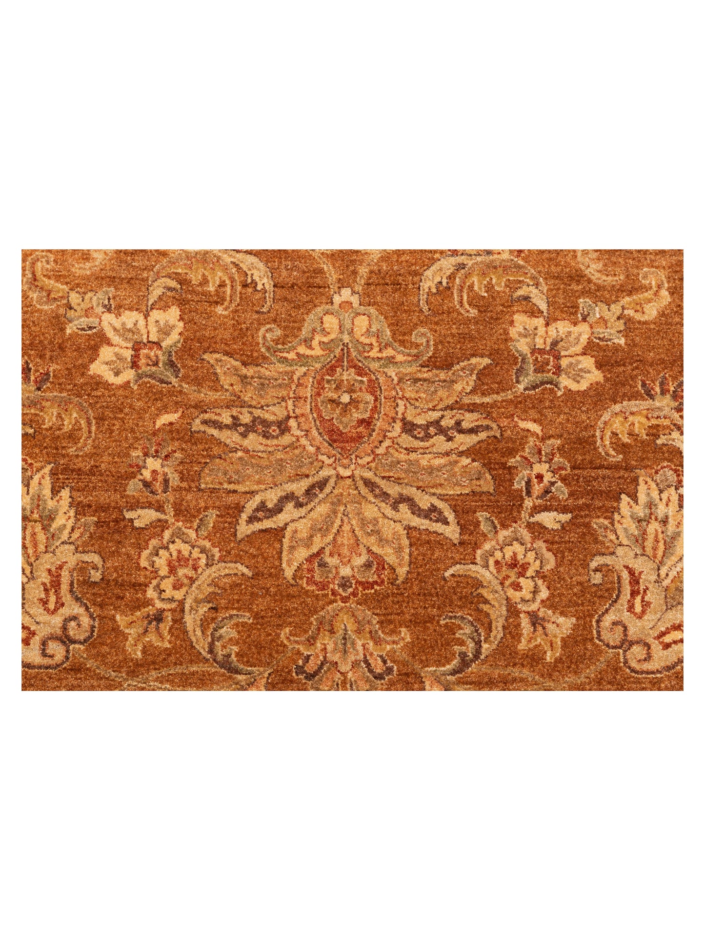 Zardun Copper Ivory 8.10x11.8 Hand Knotted Rug