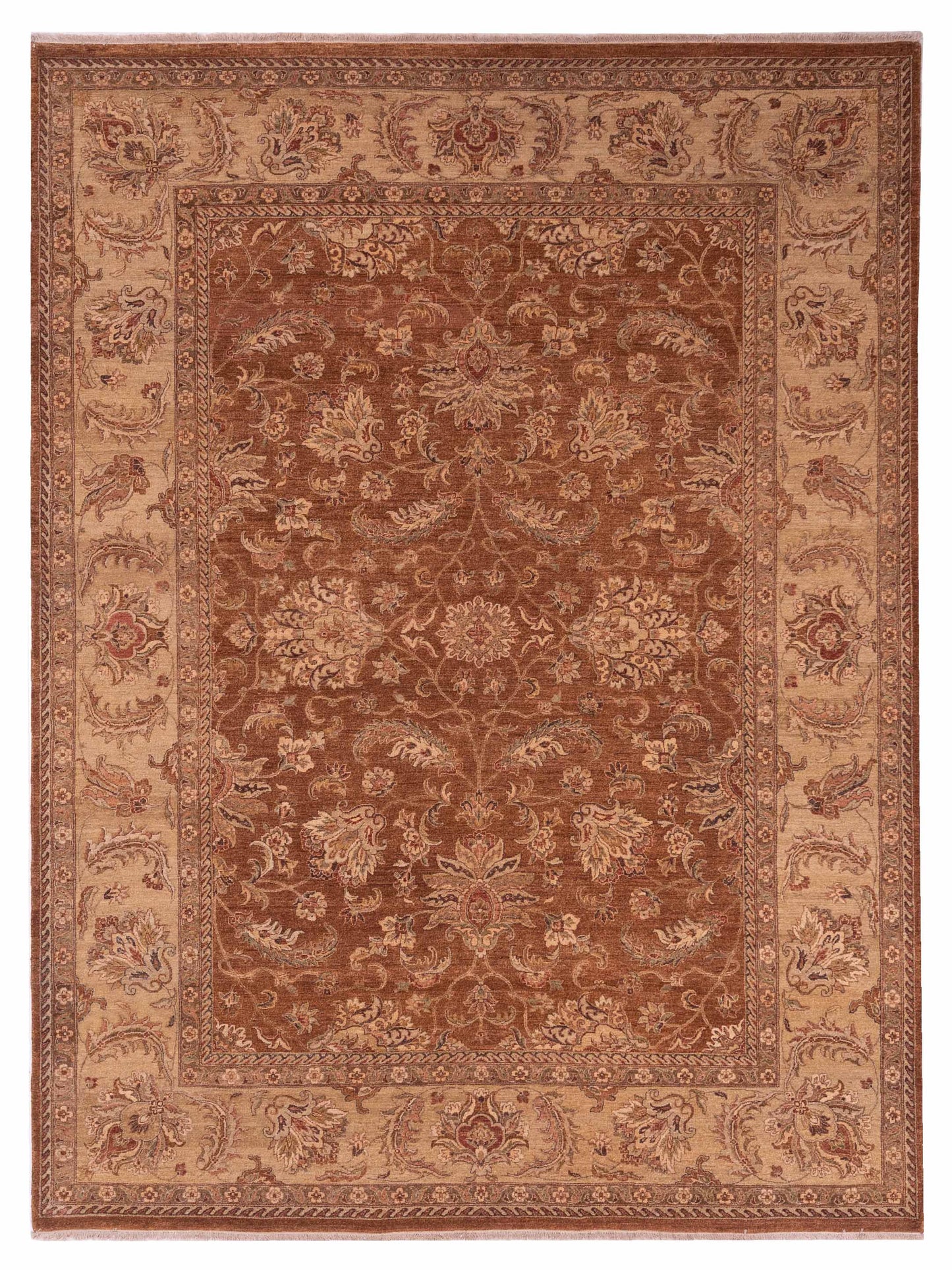 Rajpur Ghazani  Copper Ivory Transitional