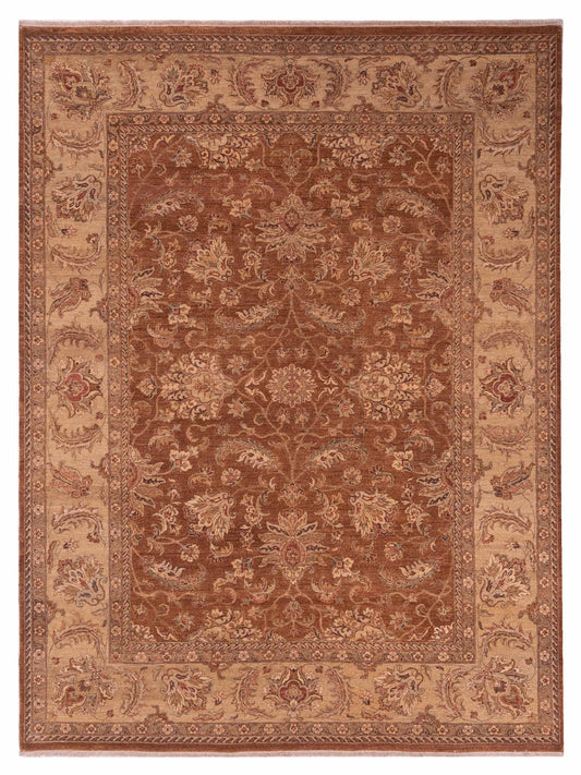 Rajpur Ghazani  Copper Ivory Transitional