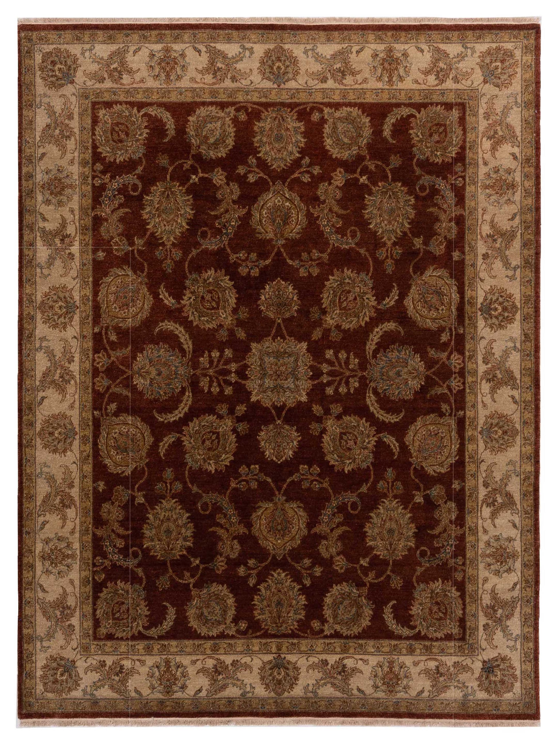 Rajpur Ghazani  Rust Ivory Traditional