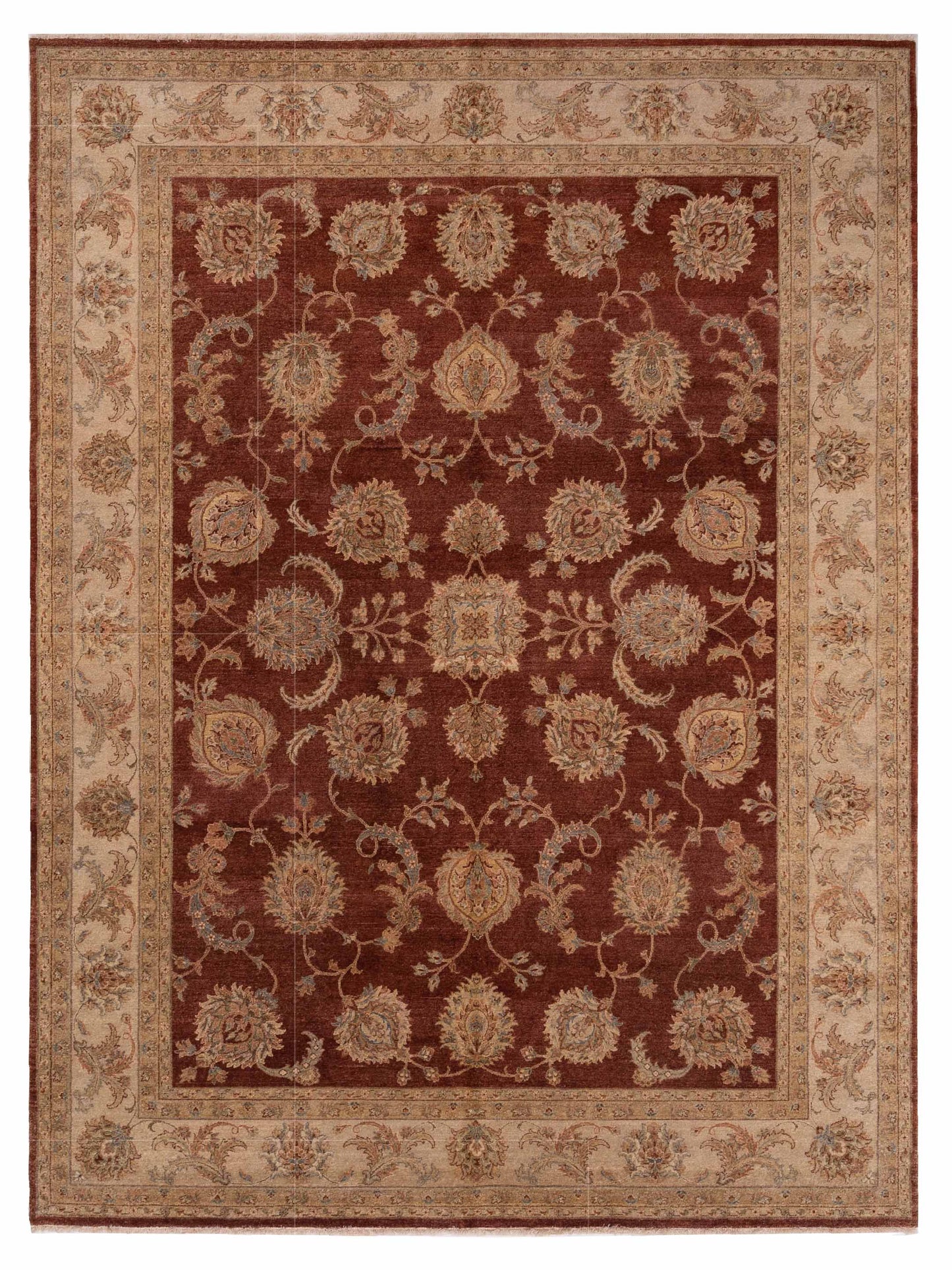 Rajpur Ghazani  Rust Ivory Transitional