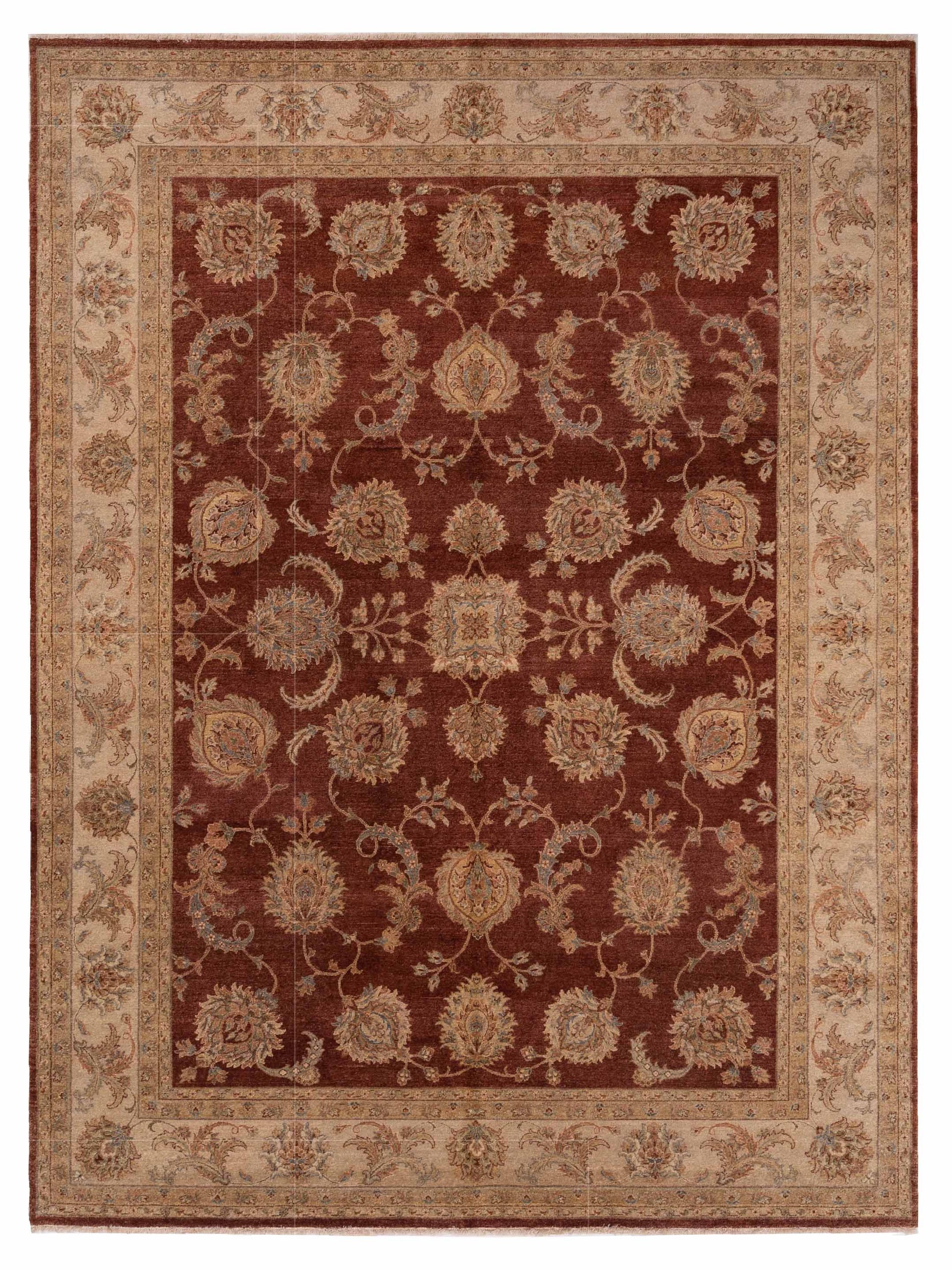 Rajpur Ghazani  Rust Ivory Transitional