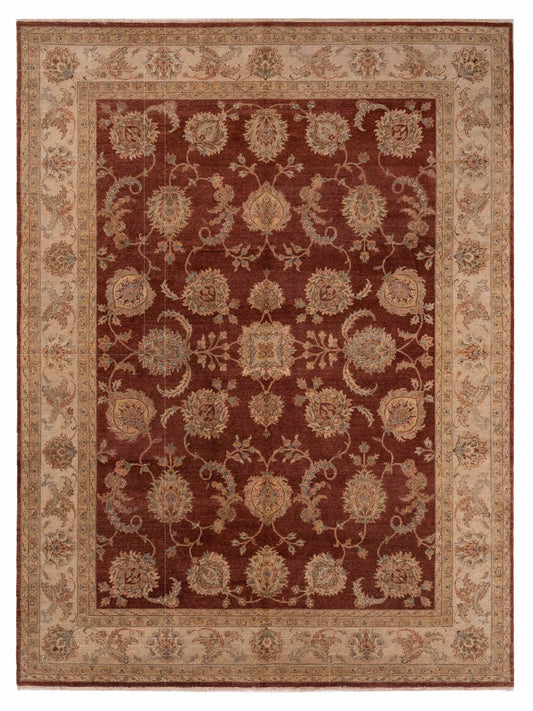 Rajpur Ghazani  Rust Ivory Transitional