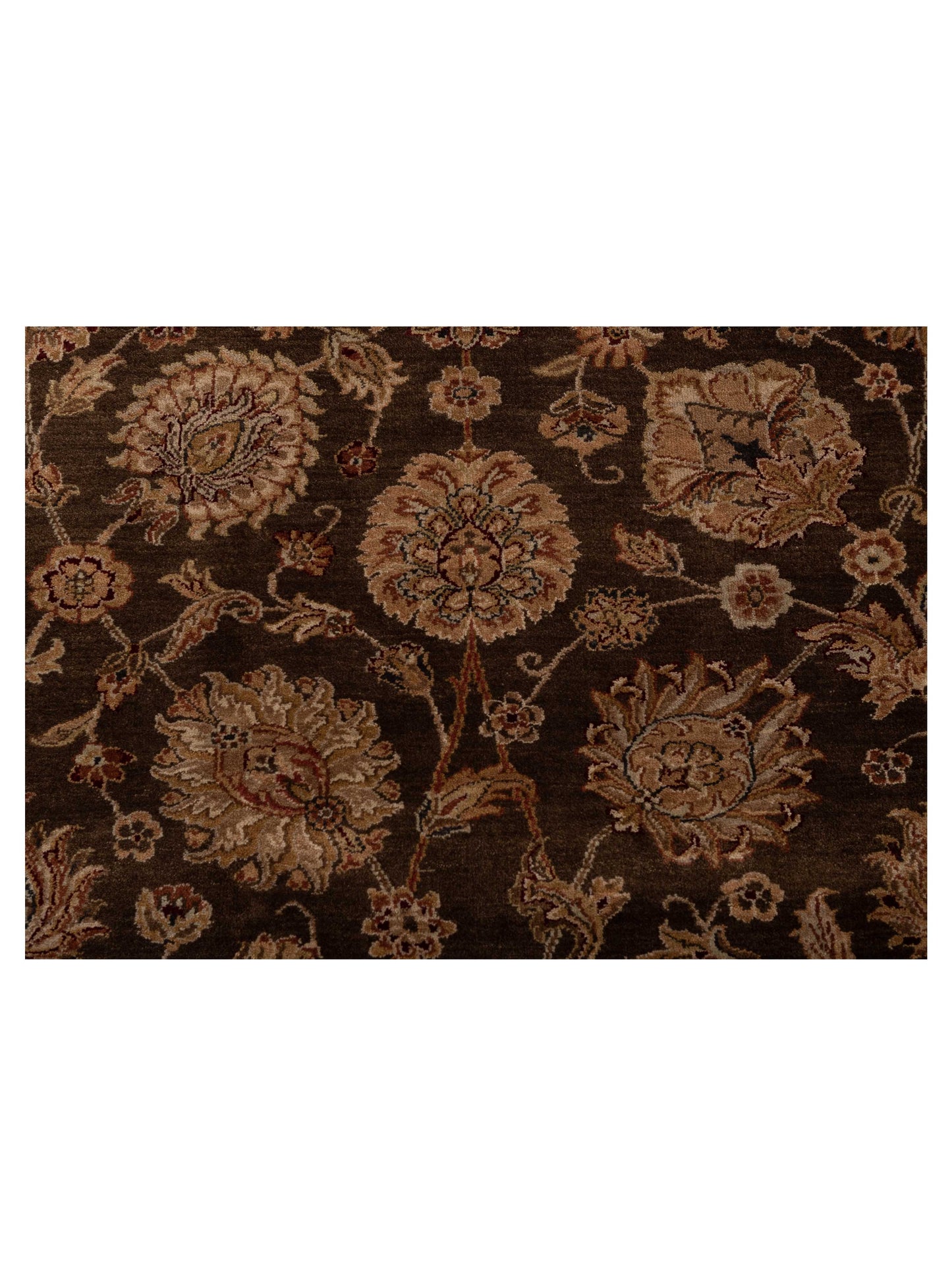 Corvella Brown Ivory 8x10 Hand Knotted Rug