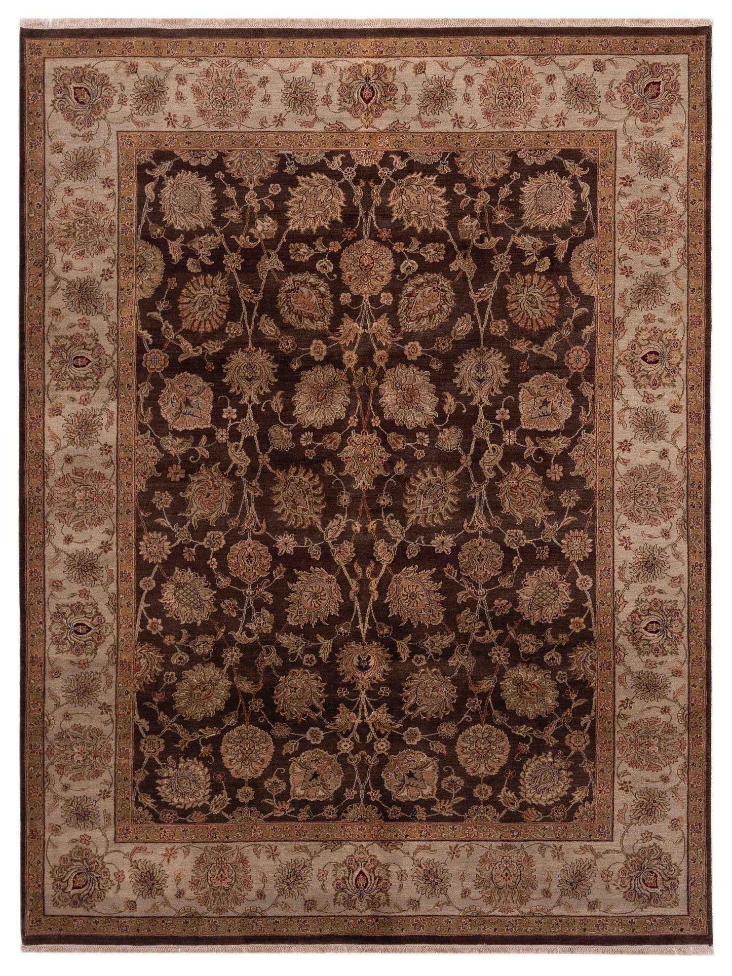 Rajpur Crown  Brown Ivory Transitional