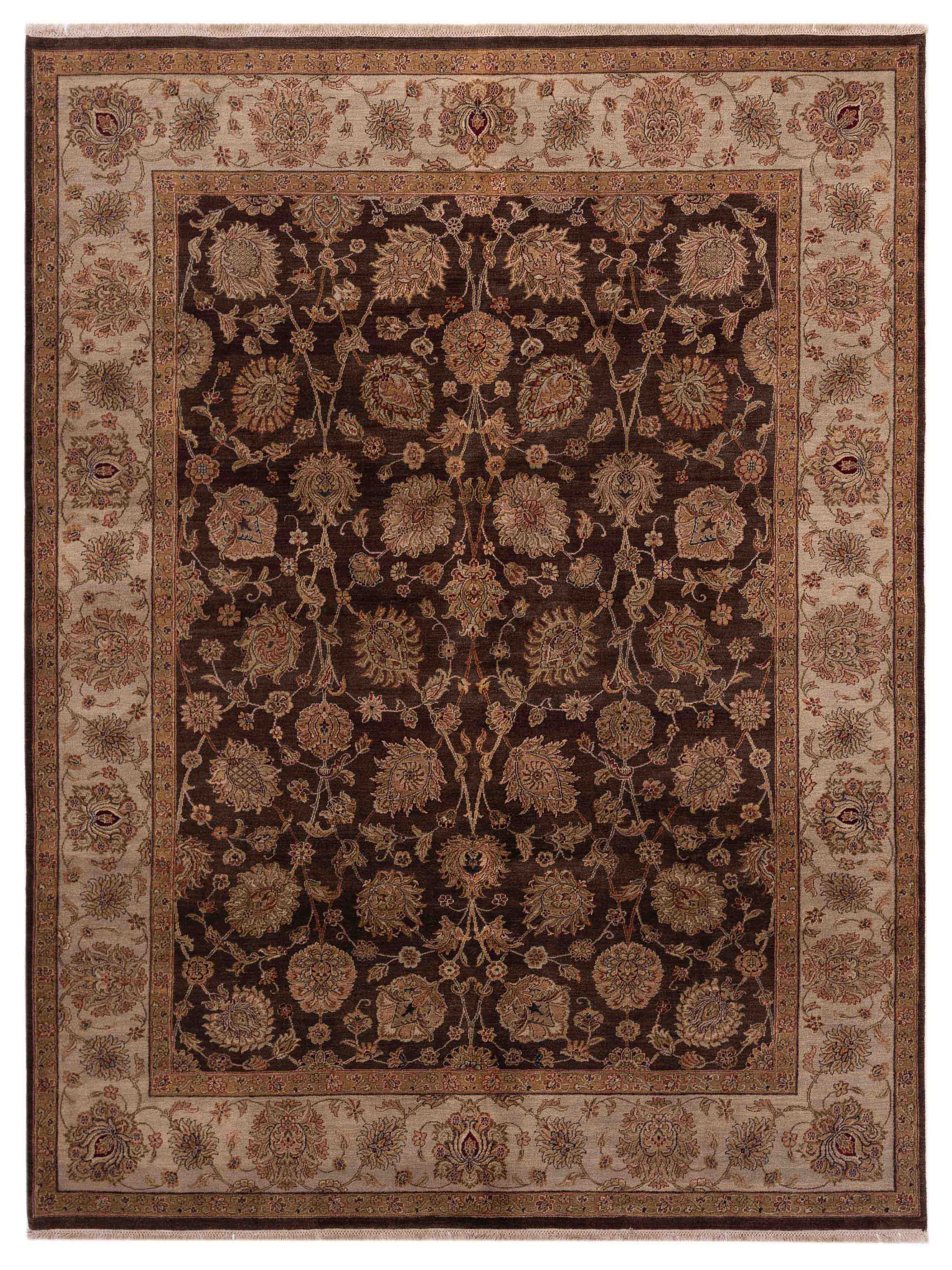 Rajpur Crown  Brown Ivory Transitional