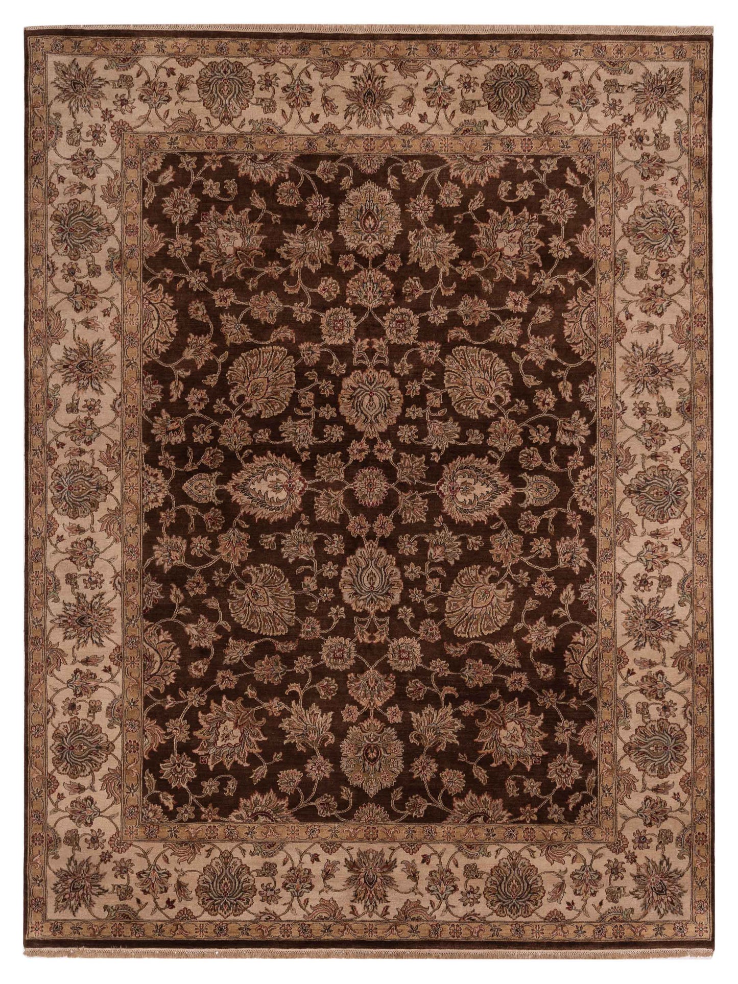 Rajpur Crown  Brown Ivory Transitional
