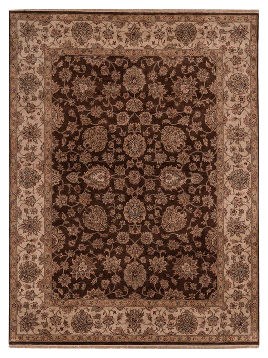 Rajpur Crown  Brown Ivory Transitional