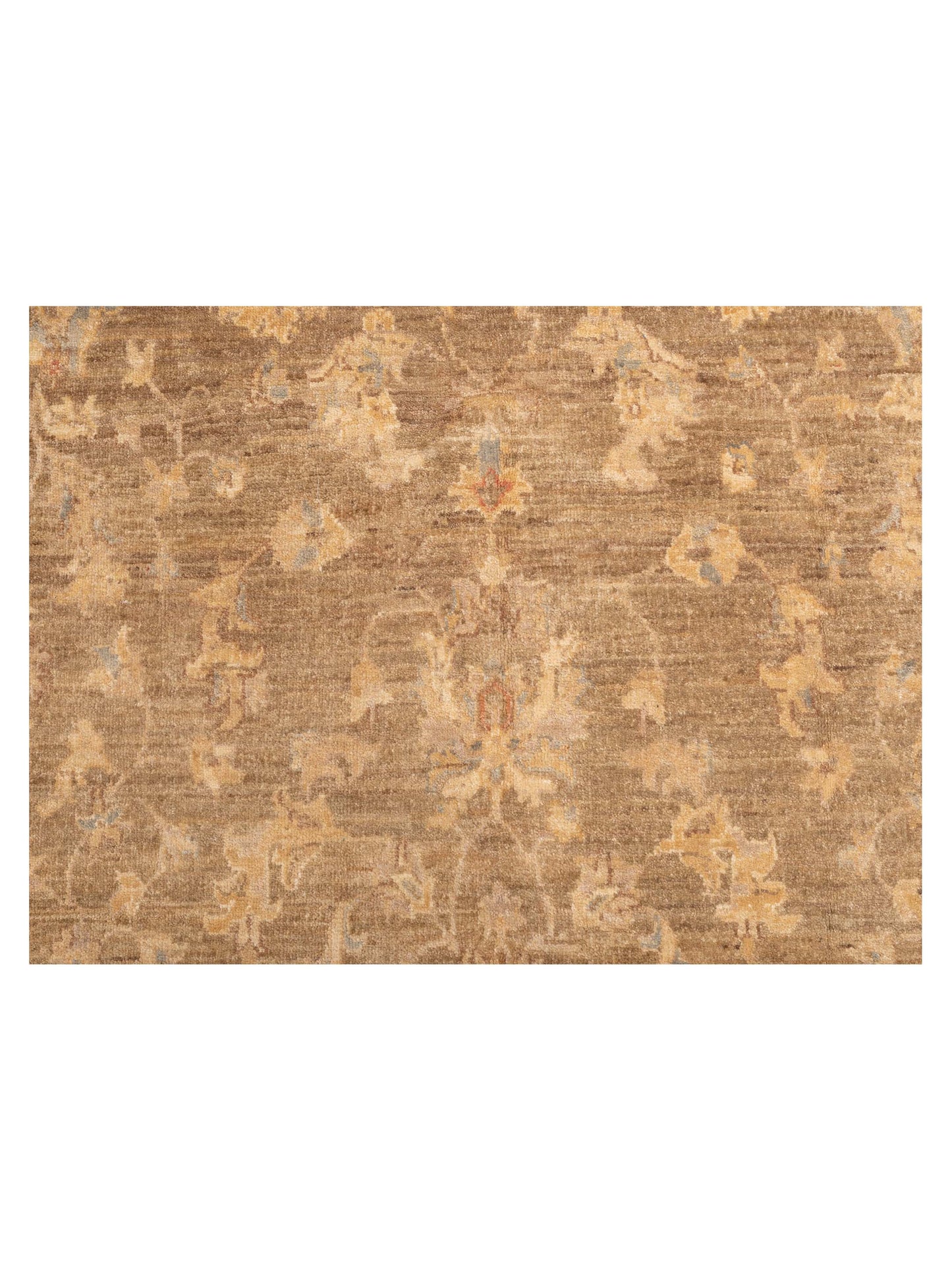 Sabira Green Beige 4.9x6.5 Hand Knotted Rug