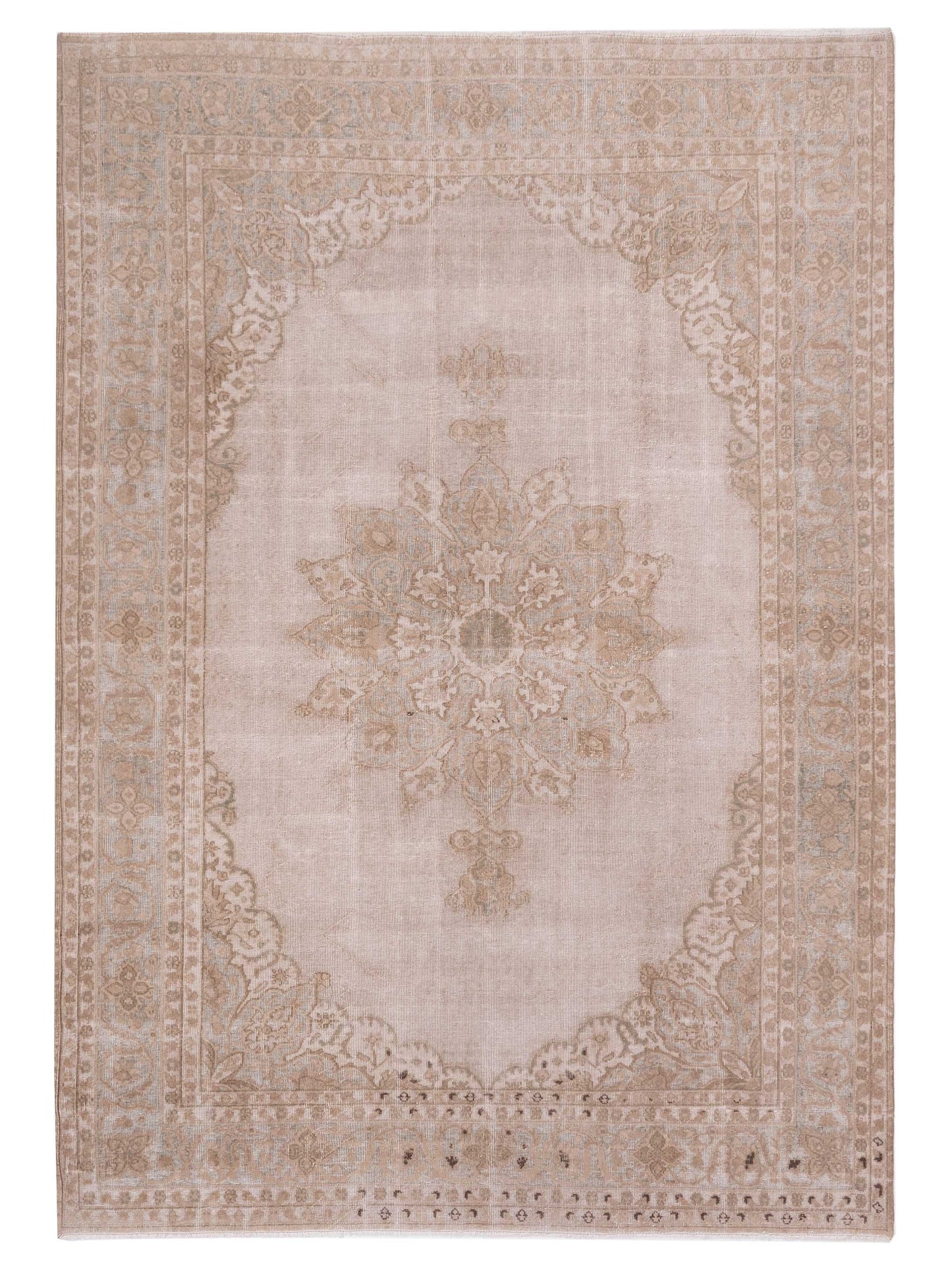 Pasha Vintage  Ivory Green Transitional