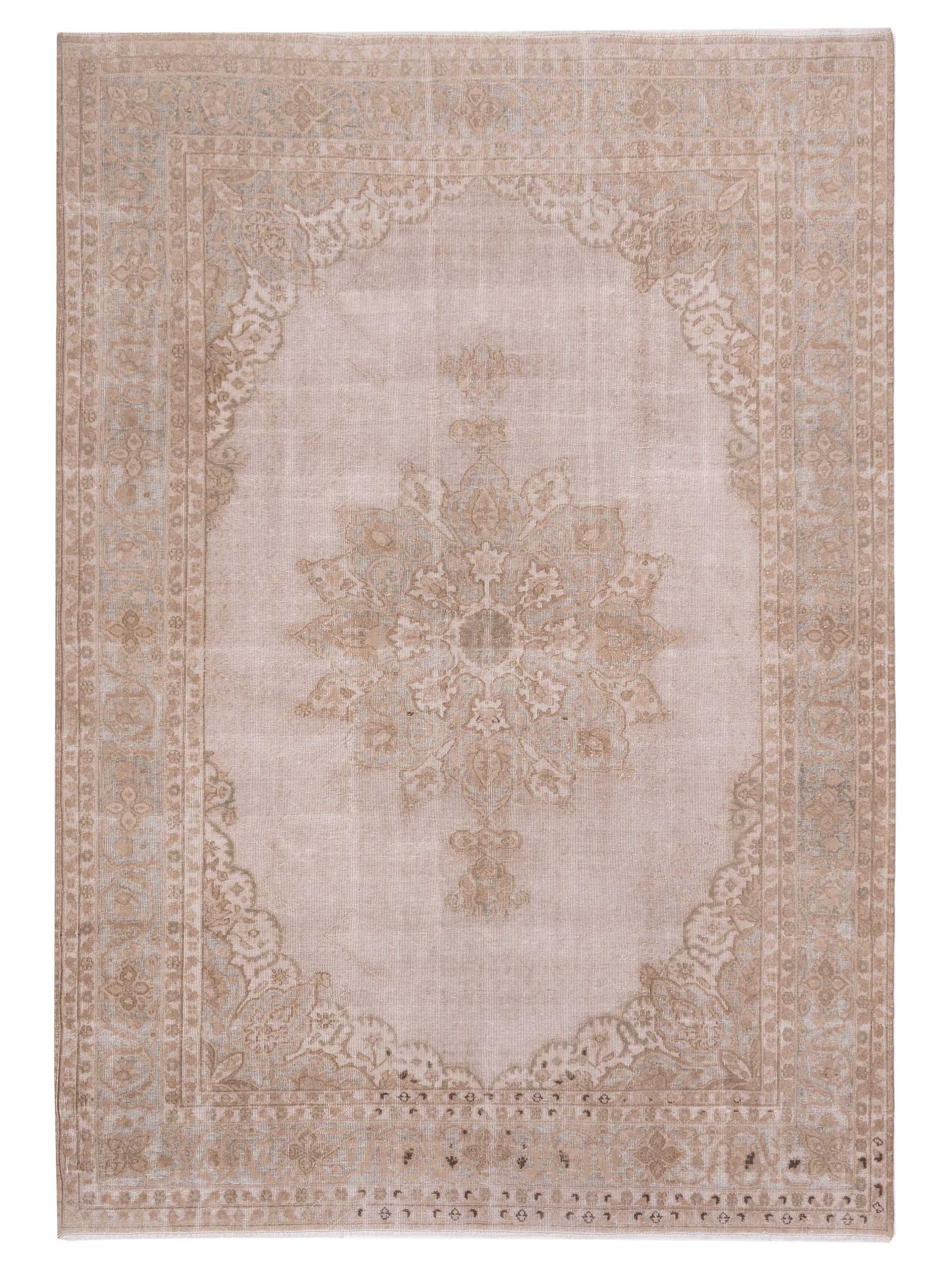 Pasha Vintage  Ivory Green Transitional