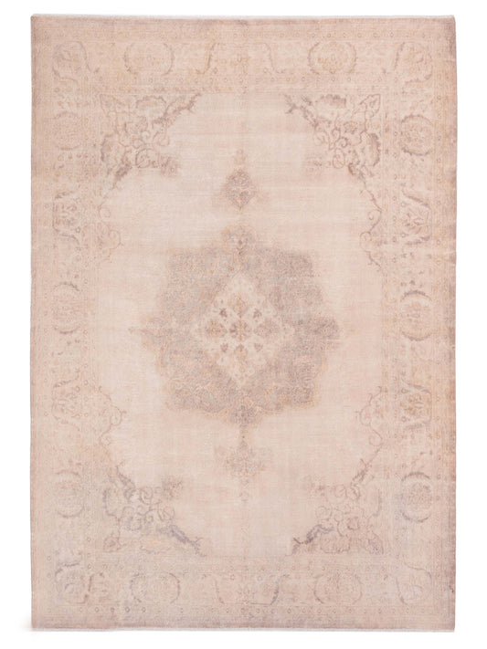 Pasha Vintage  Ivory  Contemporary