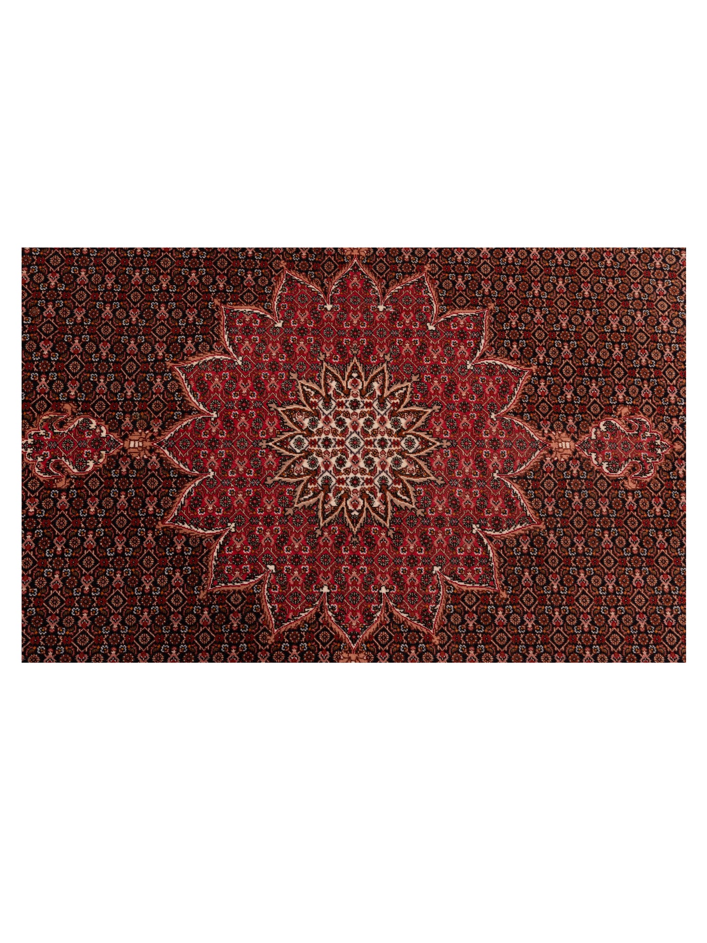 Silkara Black Pink 6.8x6.8 Hand Knotted Rug