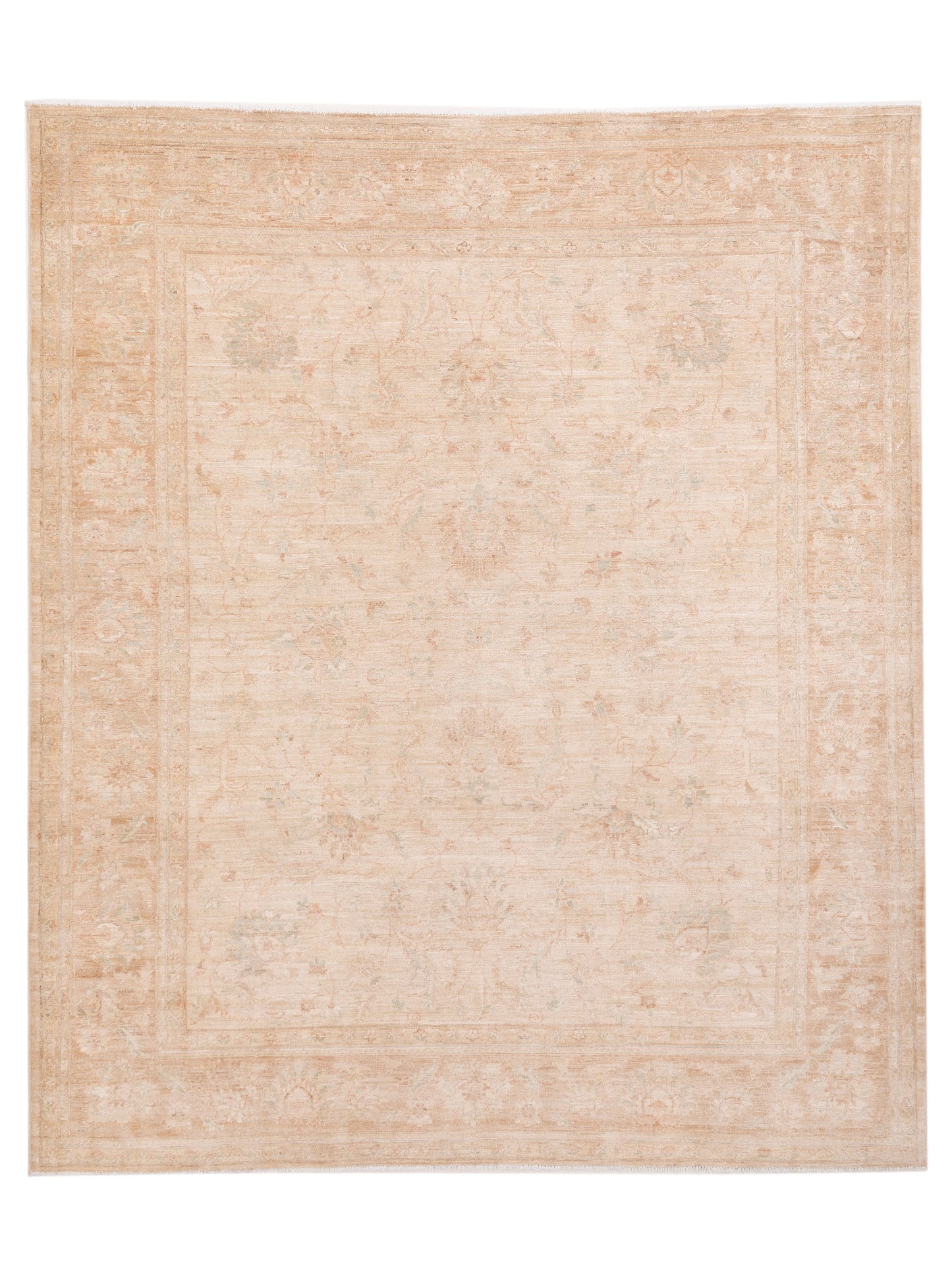 Pasha Sultan  Ivory Brown Traditional