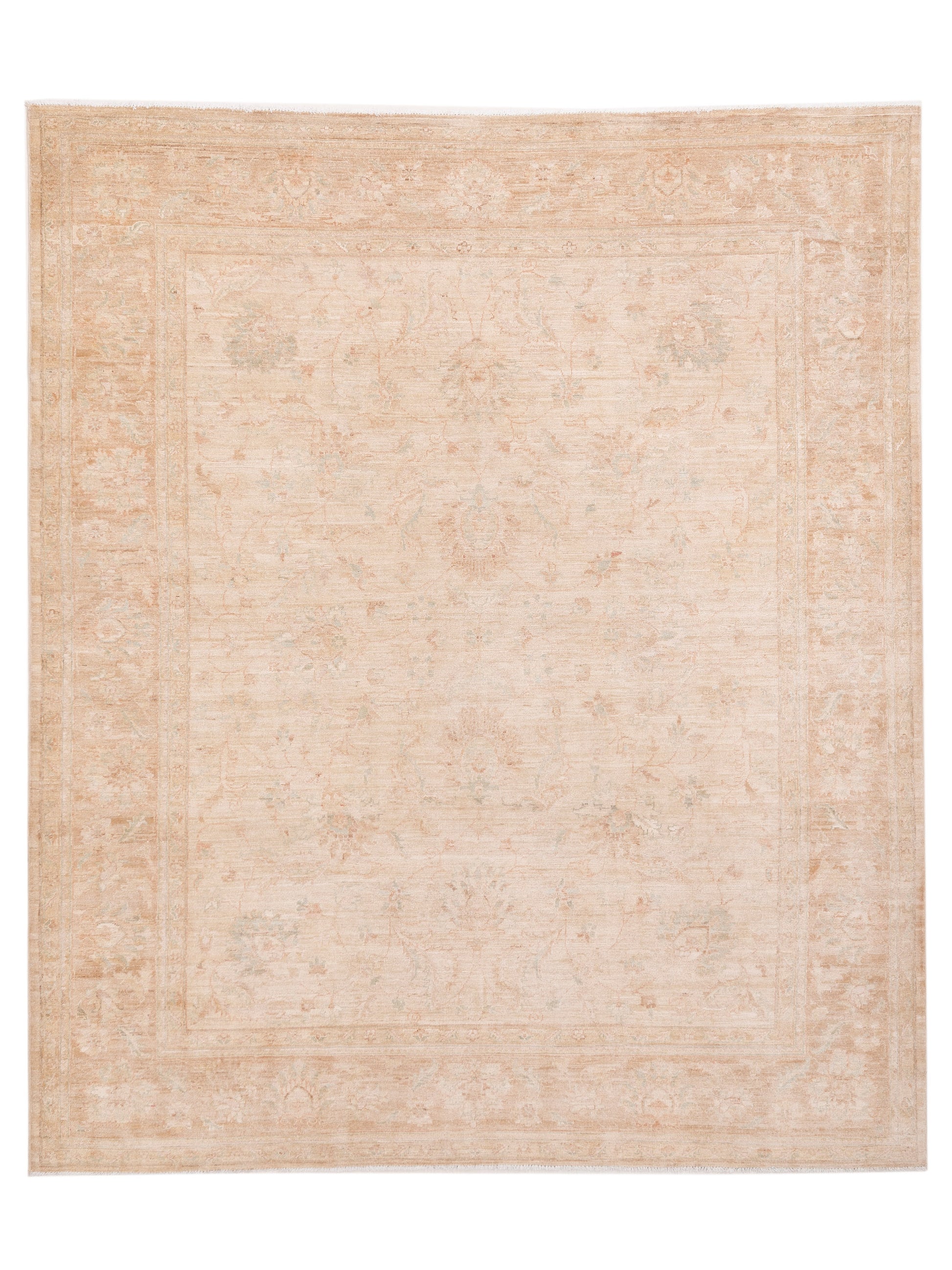 Pasha Sultan  Ivory Brown Traditional