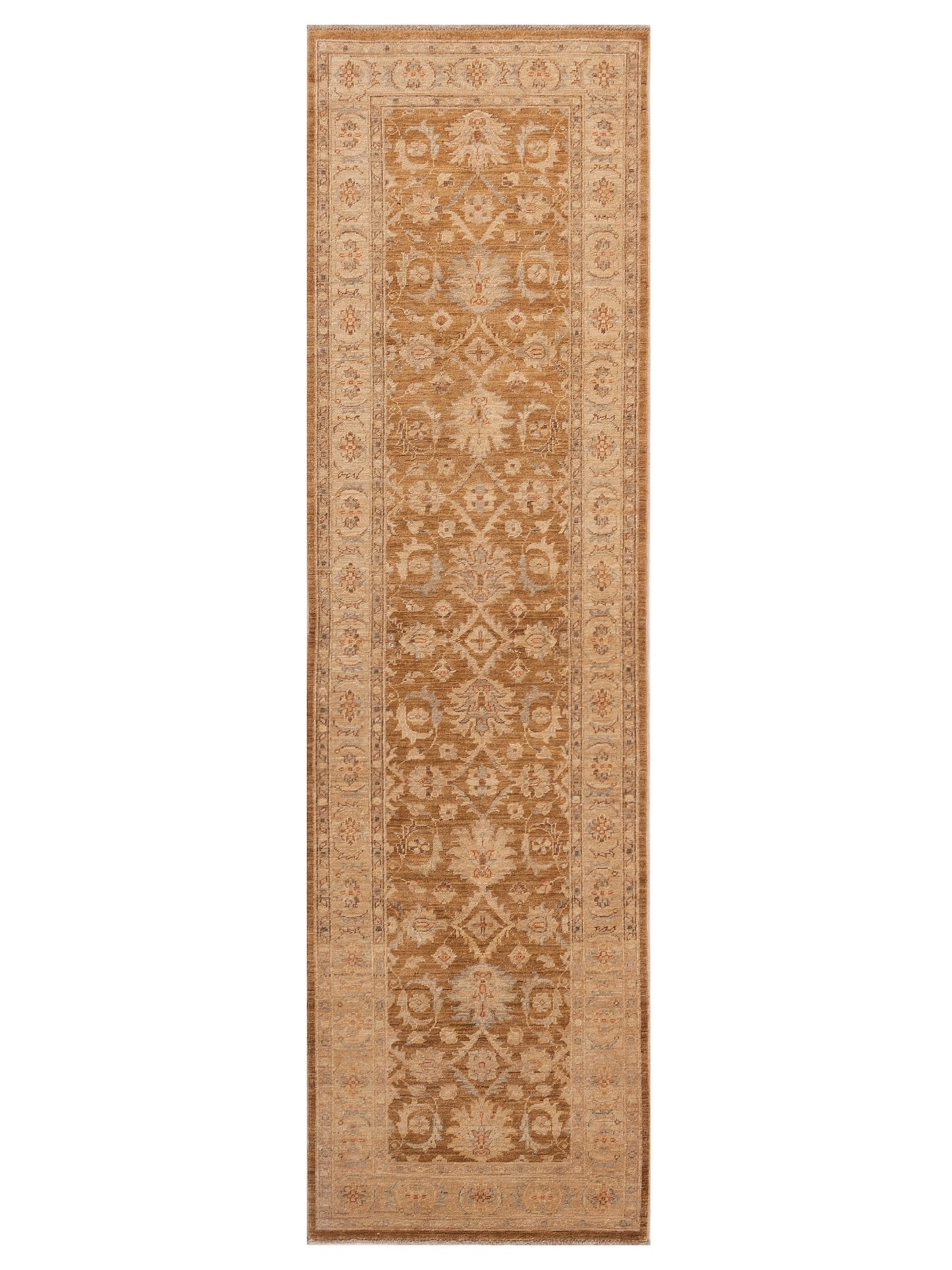 Pasha Sultan  Brown Gold Traditional