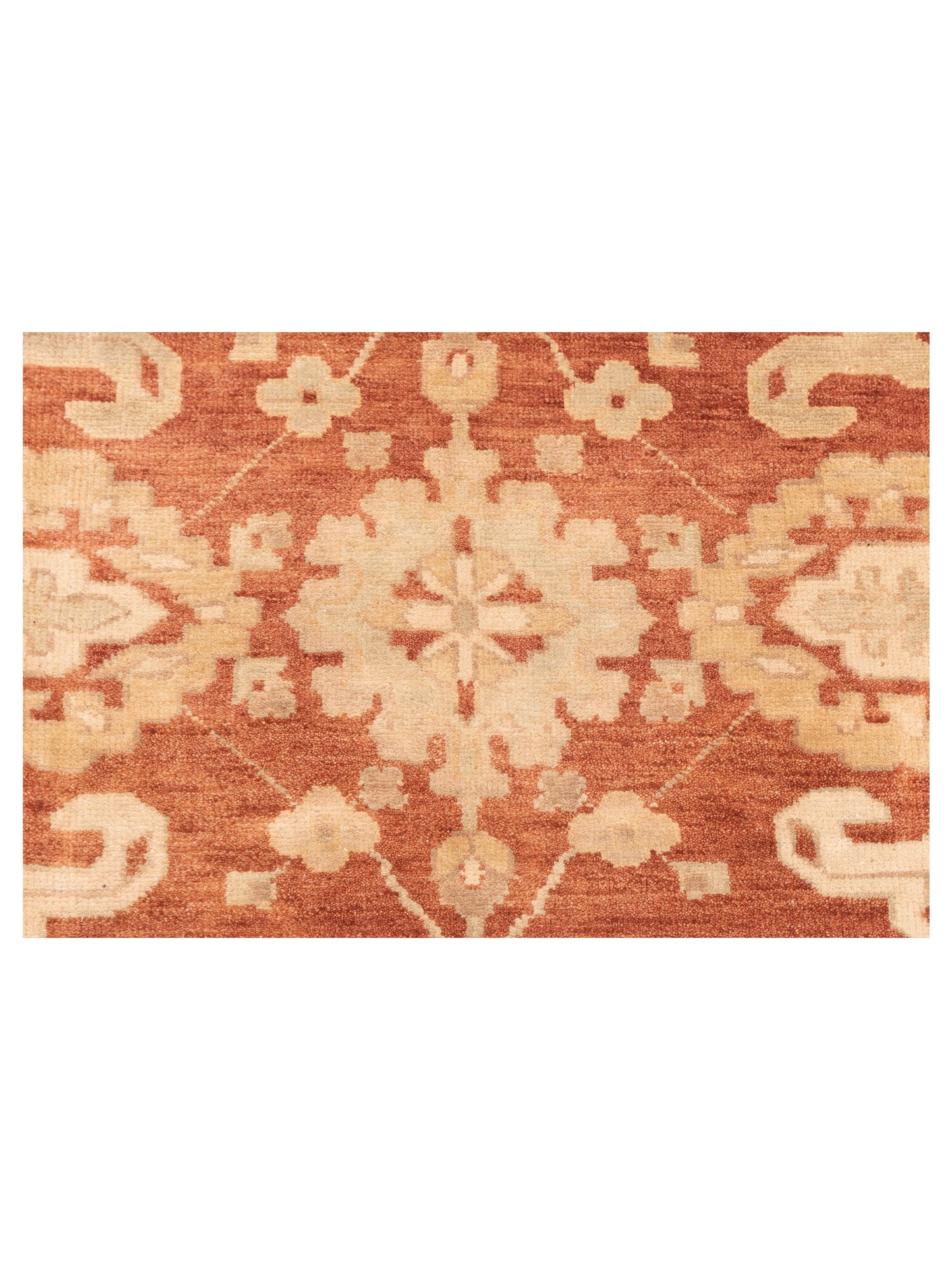 Oushara Rust Ivory 9x11.9 Hand Knotted Rug