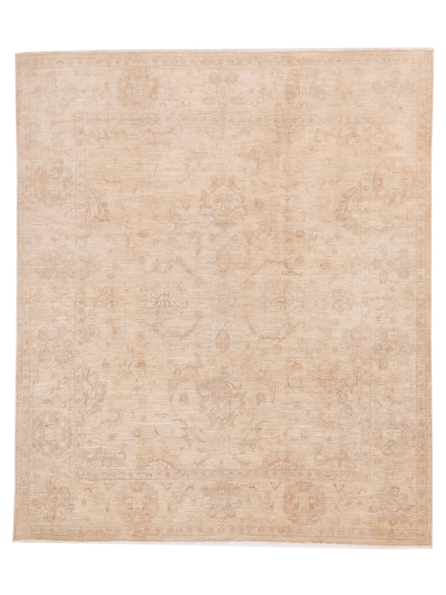 Pasha Sultan  Ivory Ivory Traditional